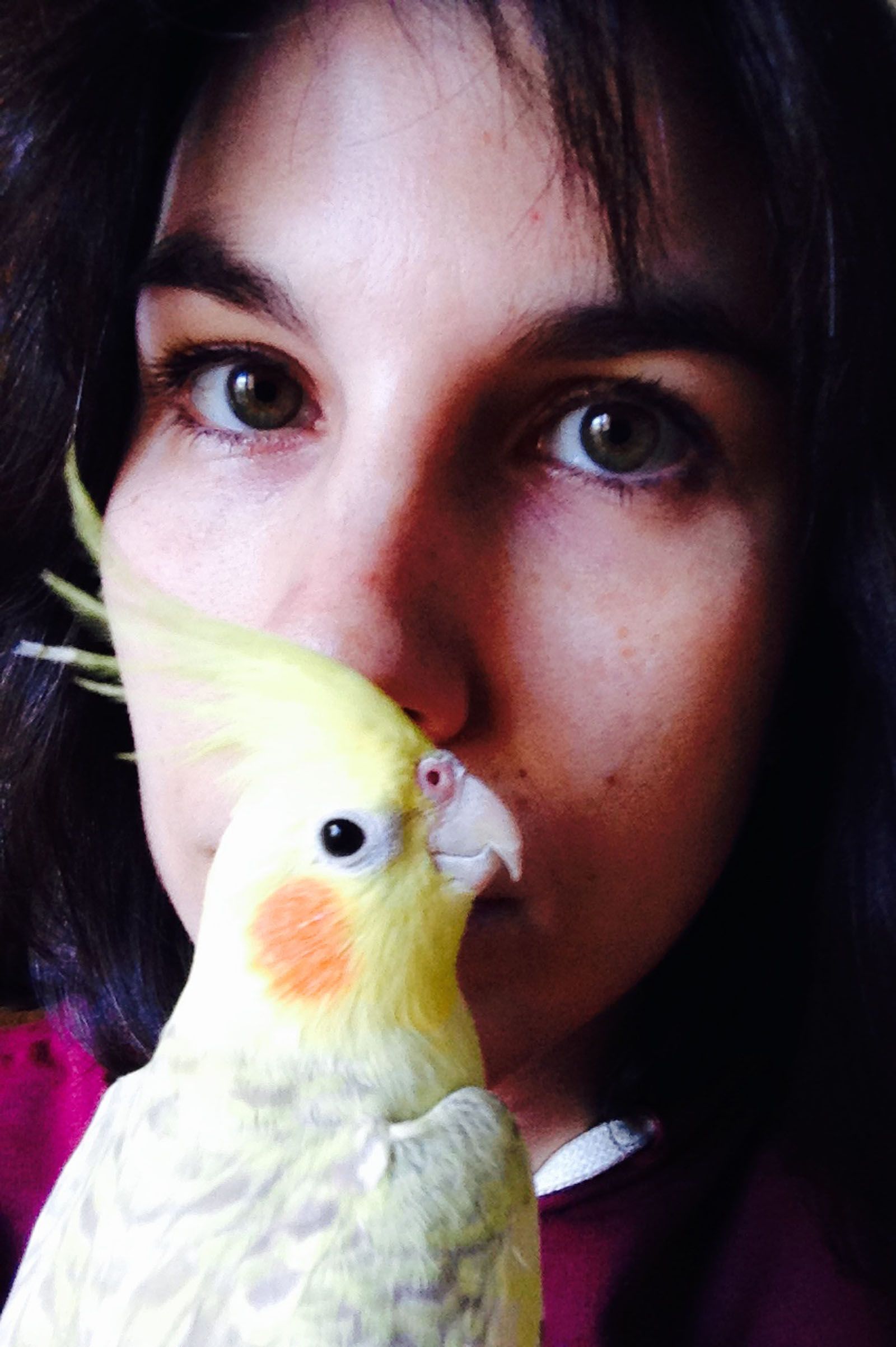 Judit Dalmau   En el fons m'estima