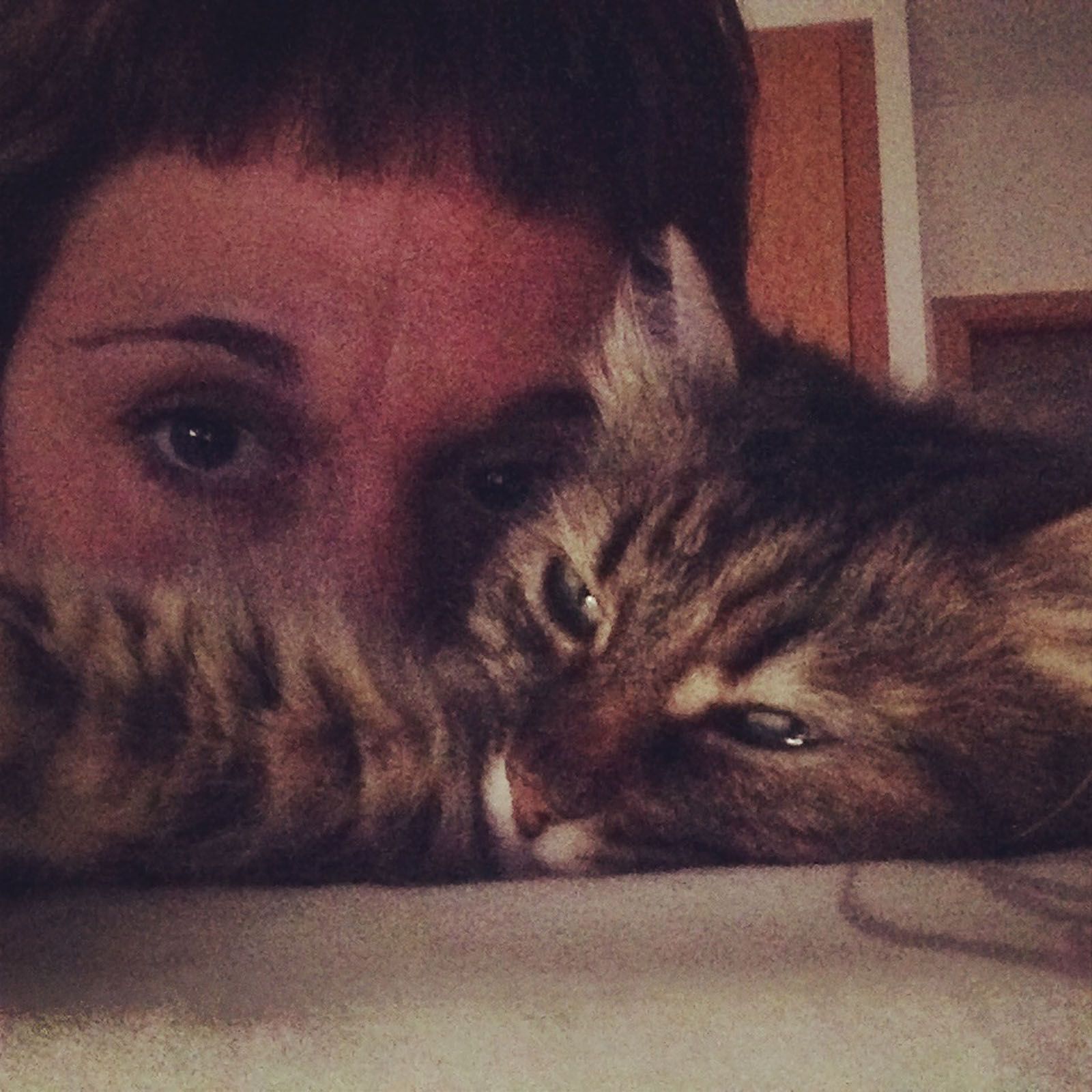 Laura Martinez martinez   Els gats