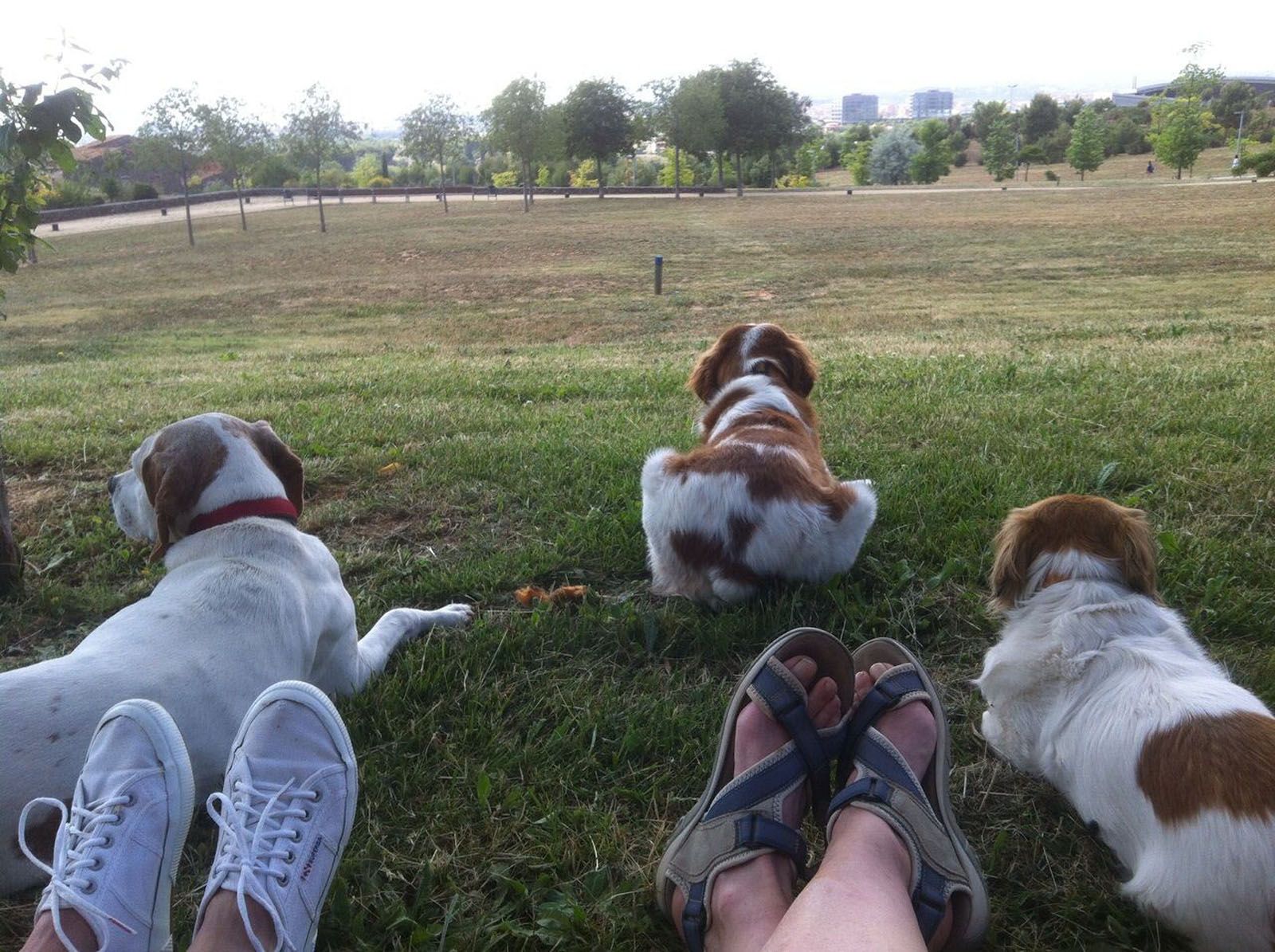 Monica Boldó Pascual   relax