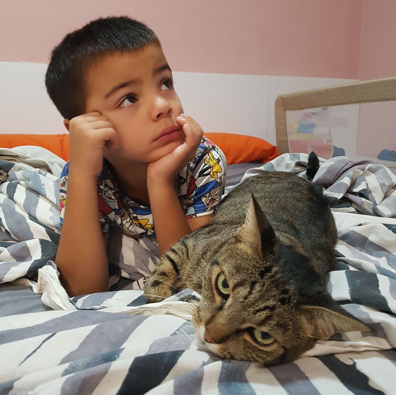 Nuria Cardona Garcia   Companys