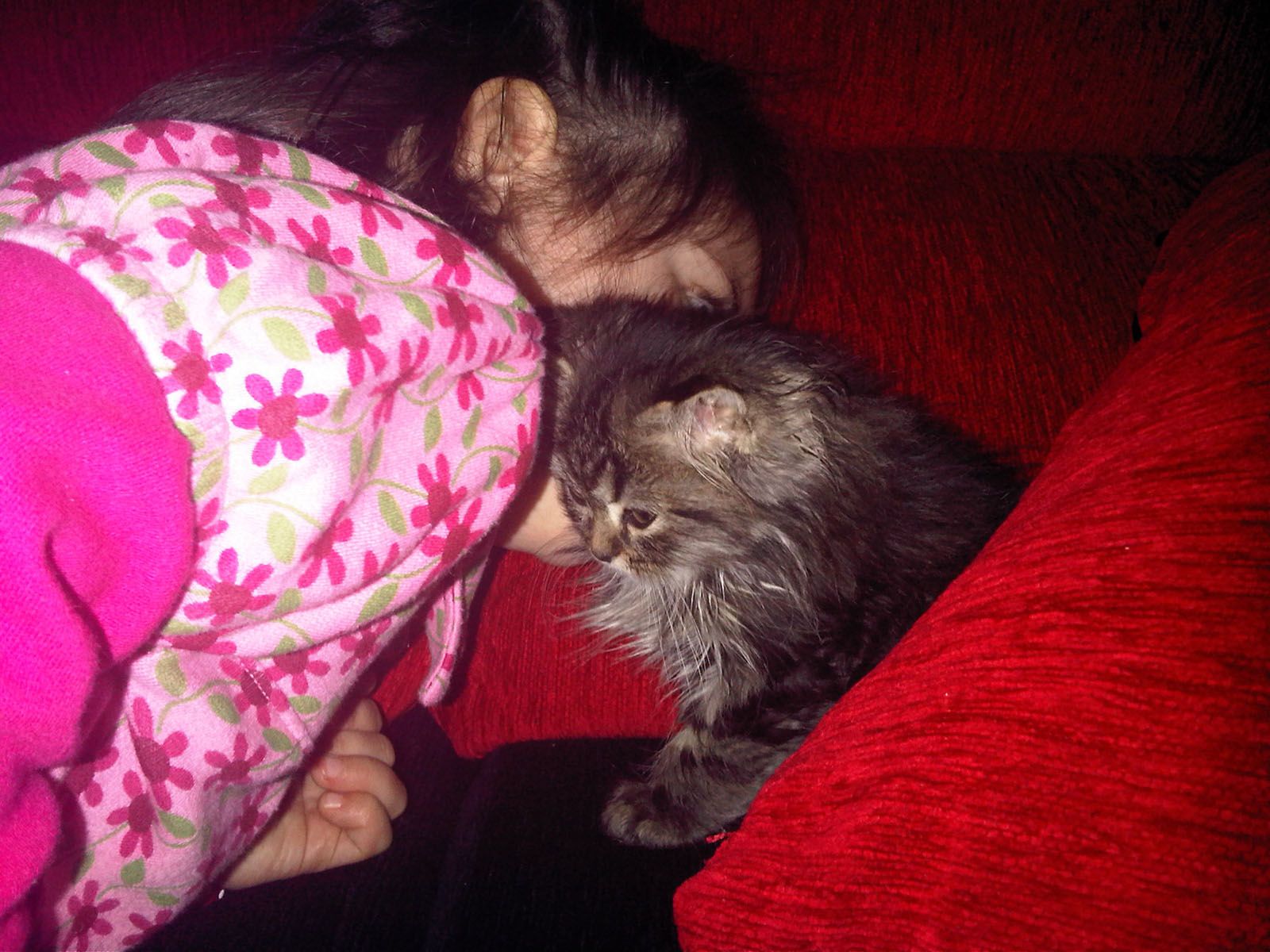 Nuria Cardona Garcia   Estaré sempre amb tú