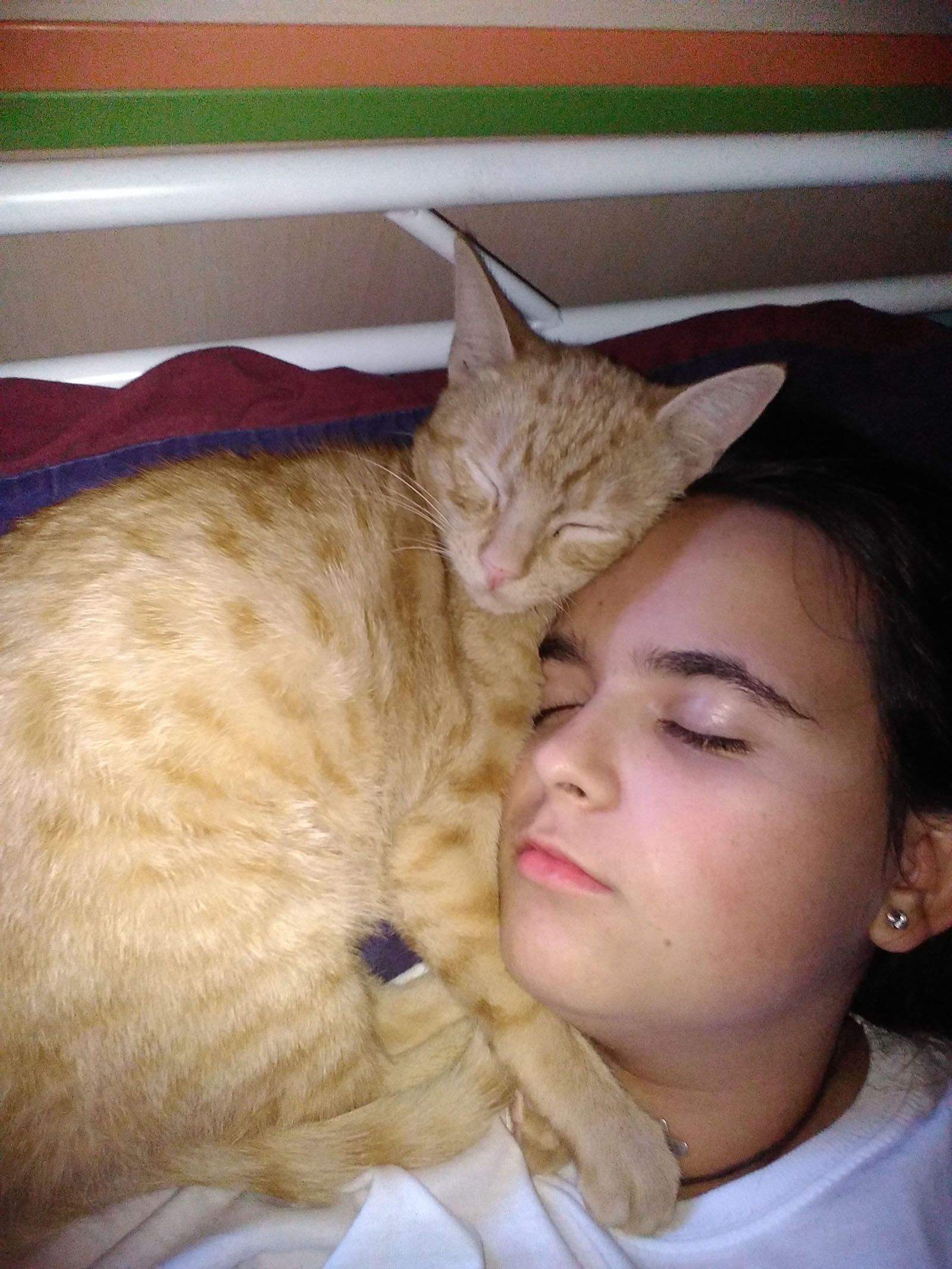 Paula León Pérez   Un llit dos somnis