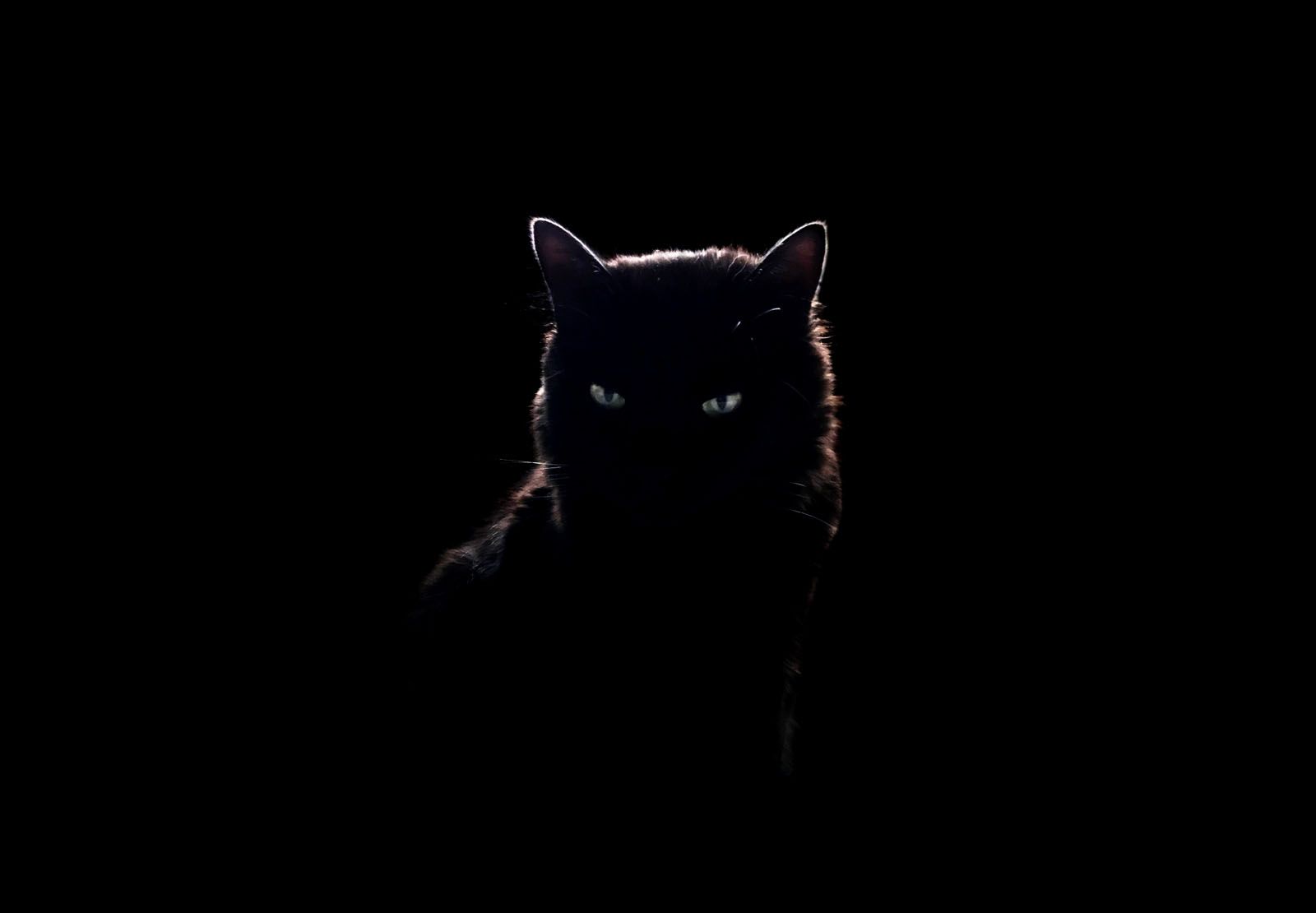 Rocio Arias Perez   Black 