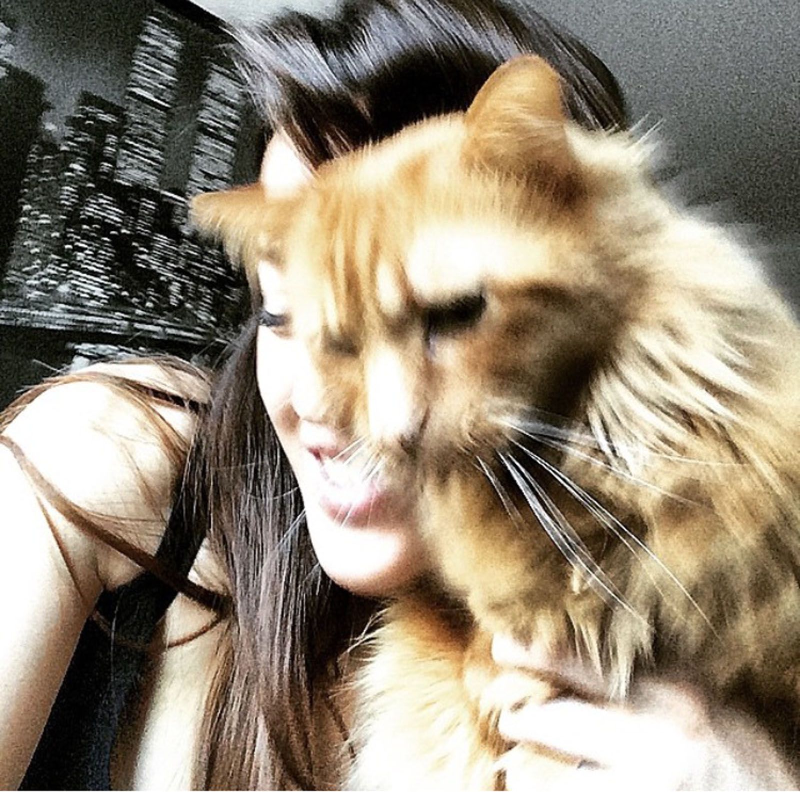 Susana Garces baeta   Movimiento gatuno