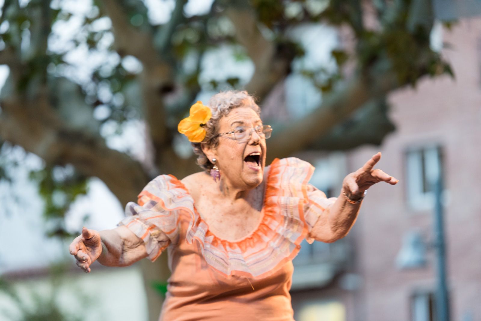 Concurs de coques. FOTO: Oscar Bayona