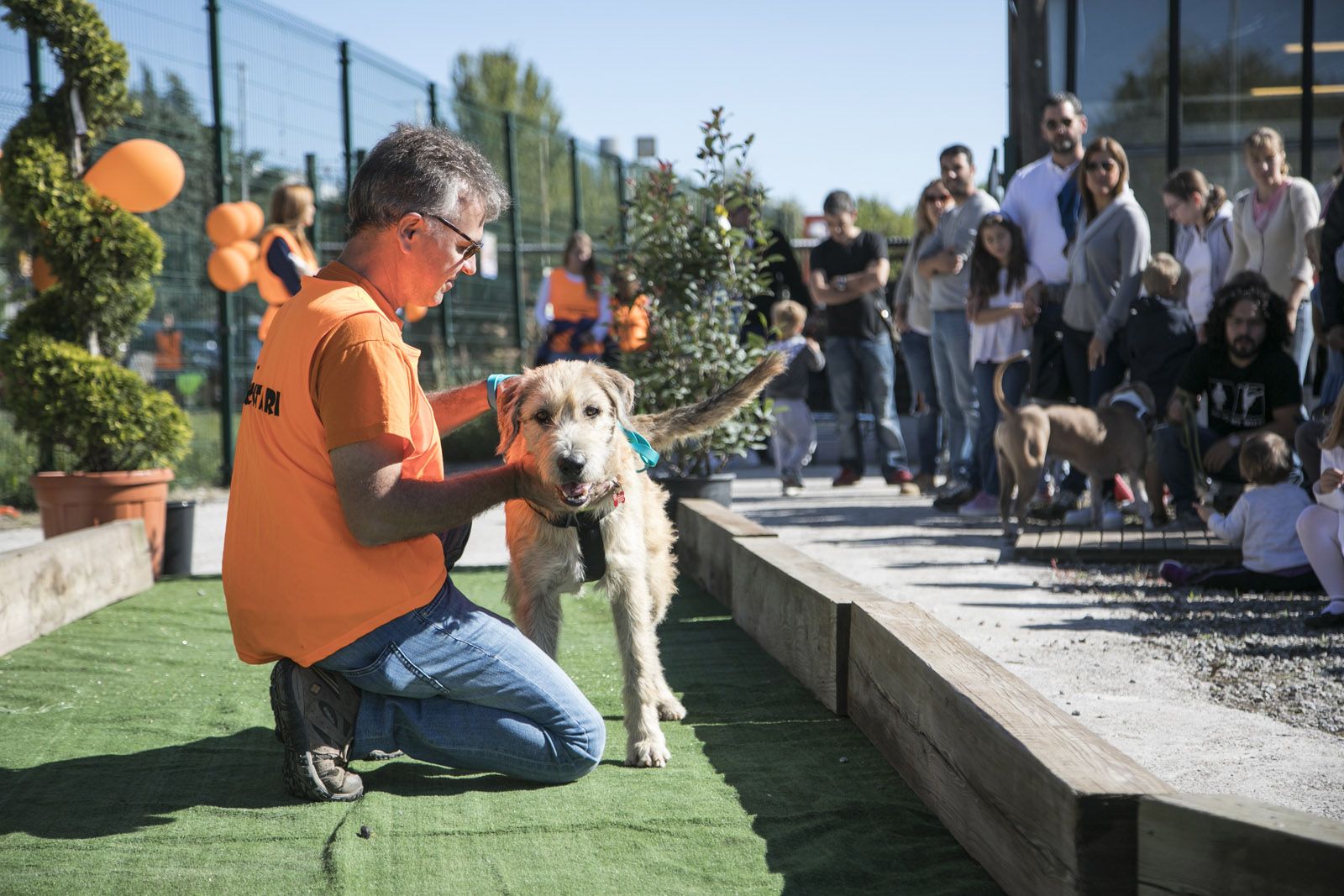 5a edició de la jornada d'adopcions amb El Cau Amic a Jardiland. FOTO: Lali Puig