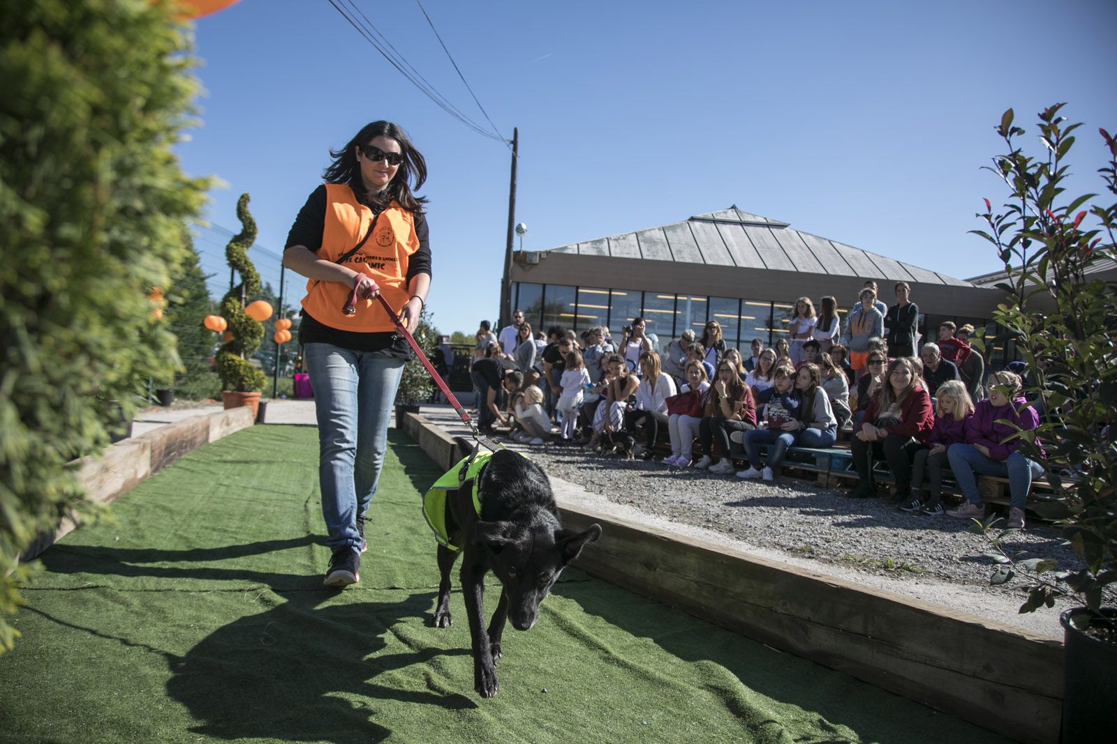 El Cau Amic organitza una jornada d'adopcions. FOTO: Lali Puig