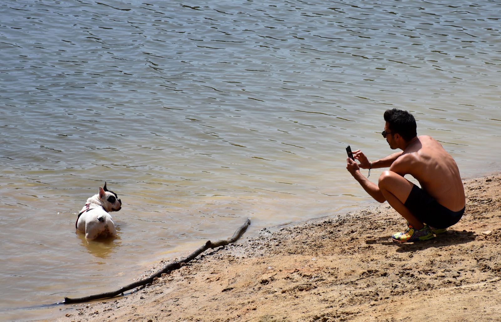 Adolf Priante i Vidal   Postureig de gos