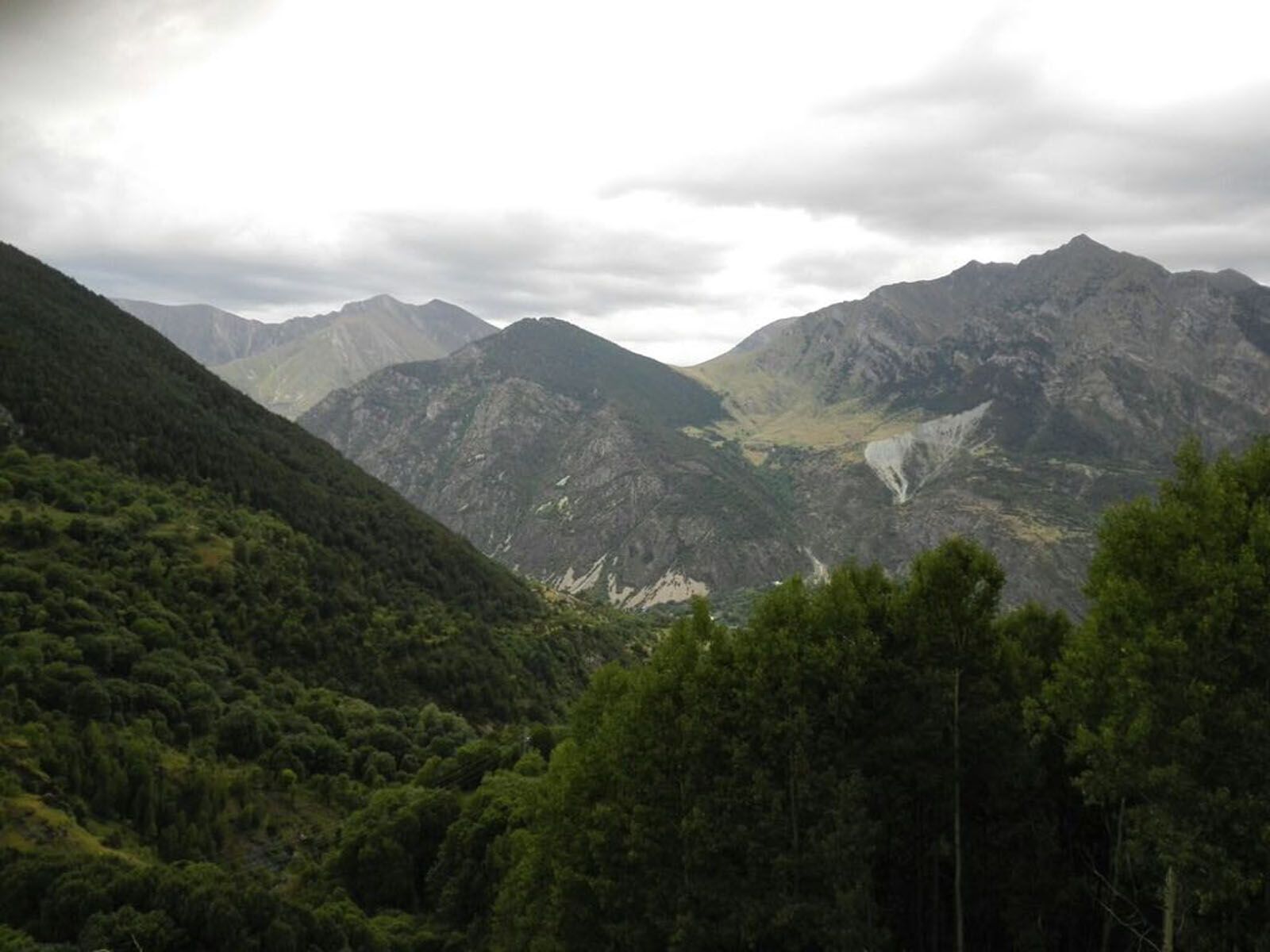 Alba Hospital Bergonzini   Mira sempre cap endavant