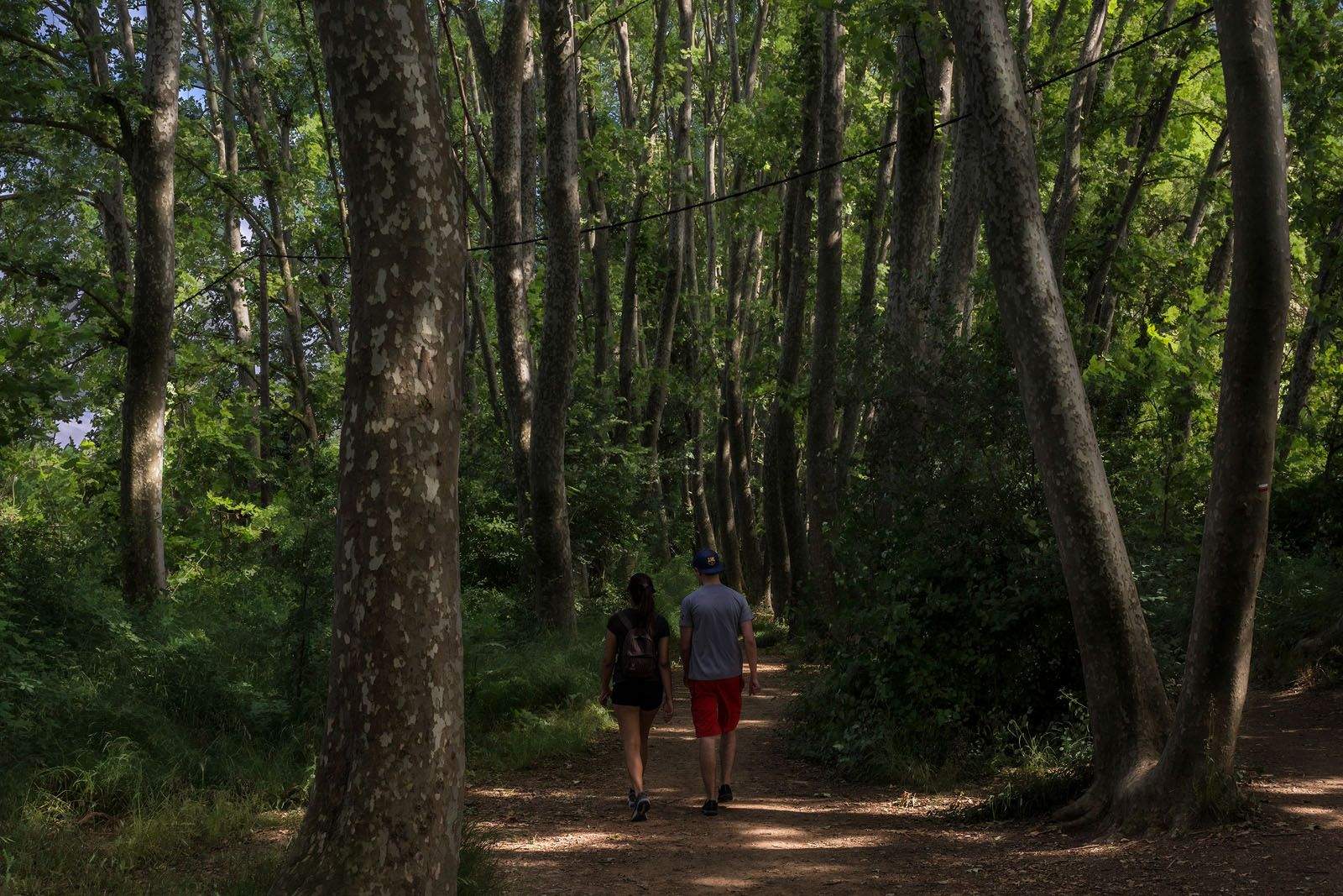 Albert Rios Lopez   Passeig