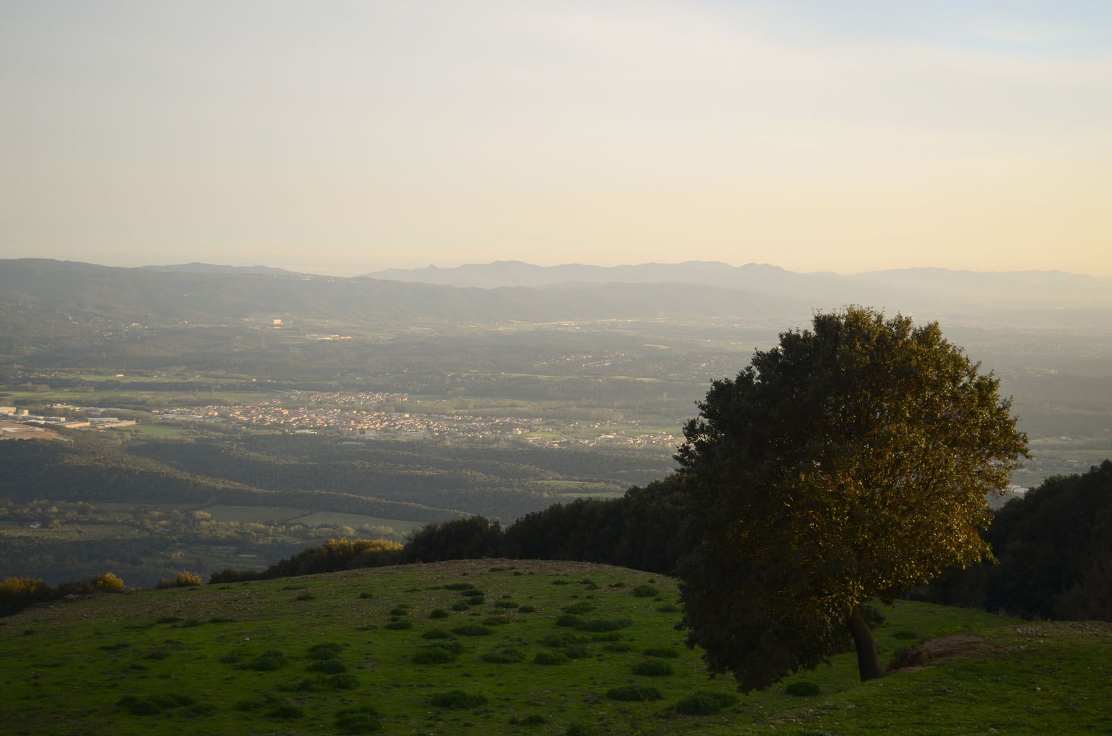 Anna Serra Feixes   Cada tarda, un tresor amagat