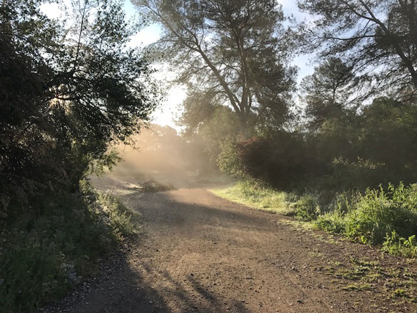 Carolina Maldonado Matheus   Amanecer en Pi d'en Xandri