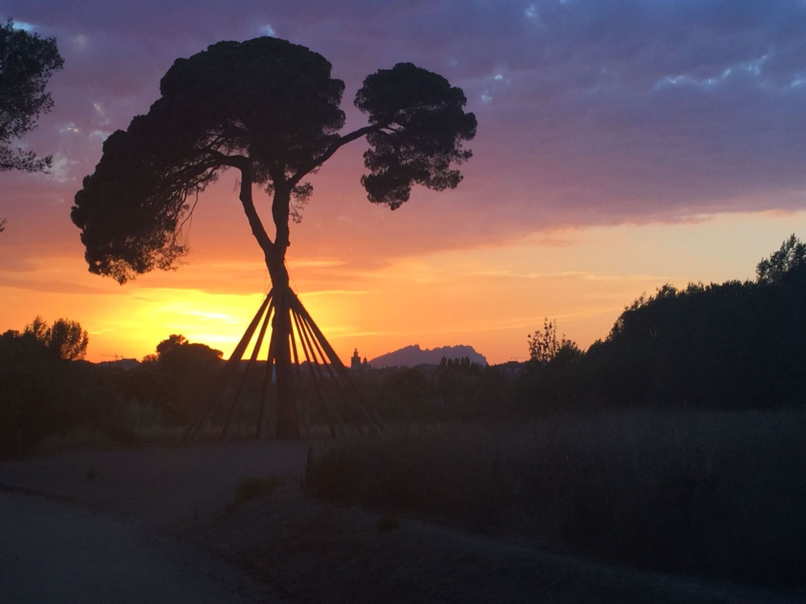 Carolina Maldonado Matheus   Atardecer en Pi d'en Xandri