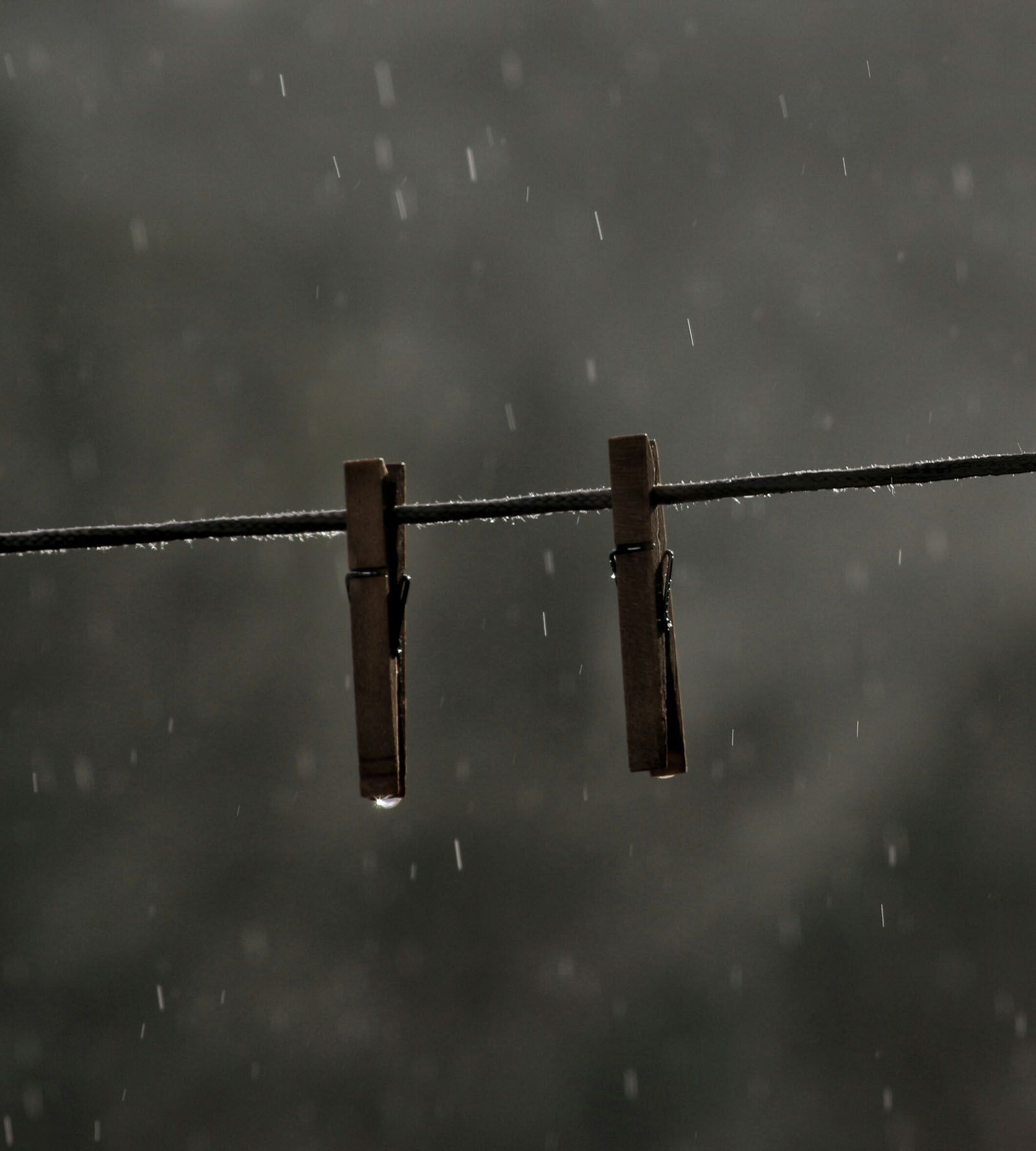 Cristina Burguillos Viladot   Agafant l'aigua amb pinces