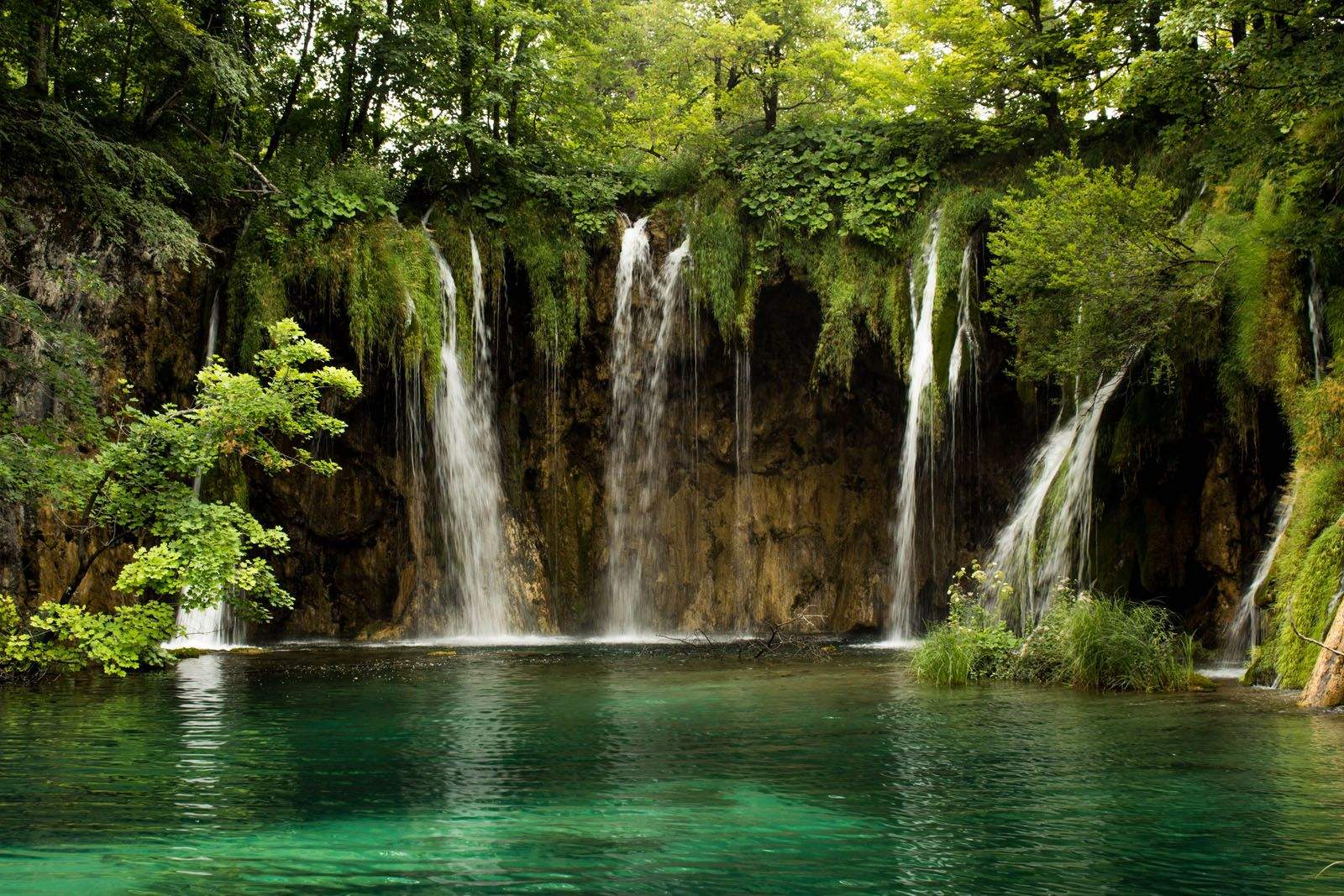 Egoitz Sarria Gonzalez   Berdea