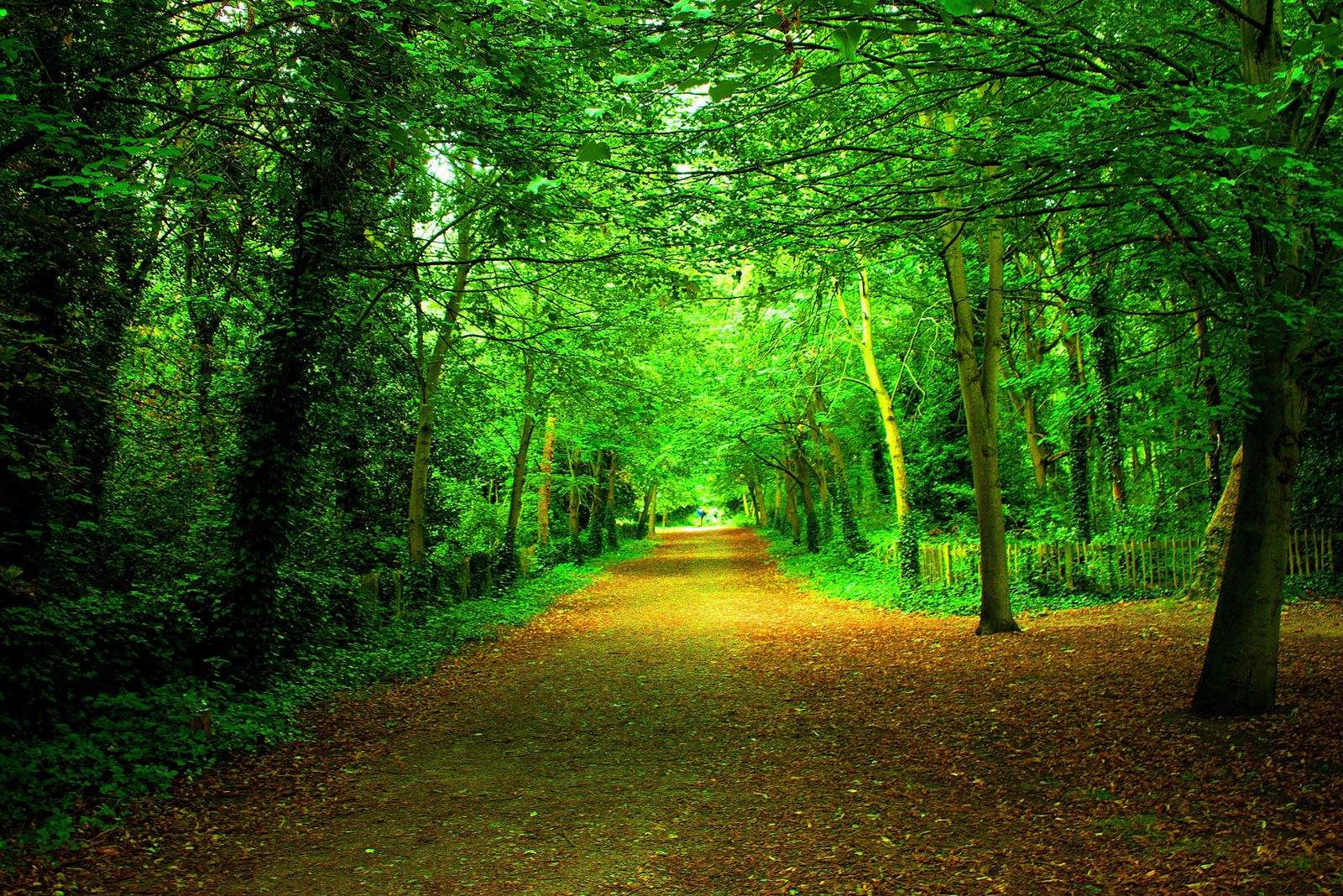 Guillem Baldi Garcia   Profunditat