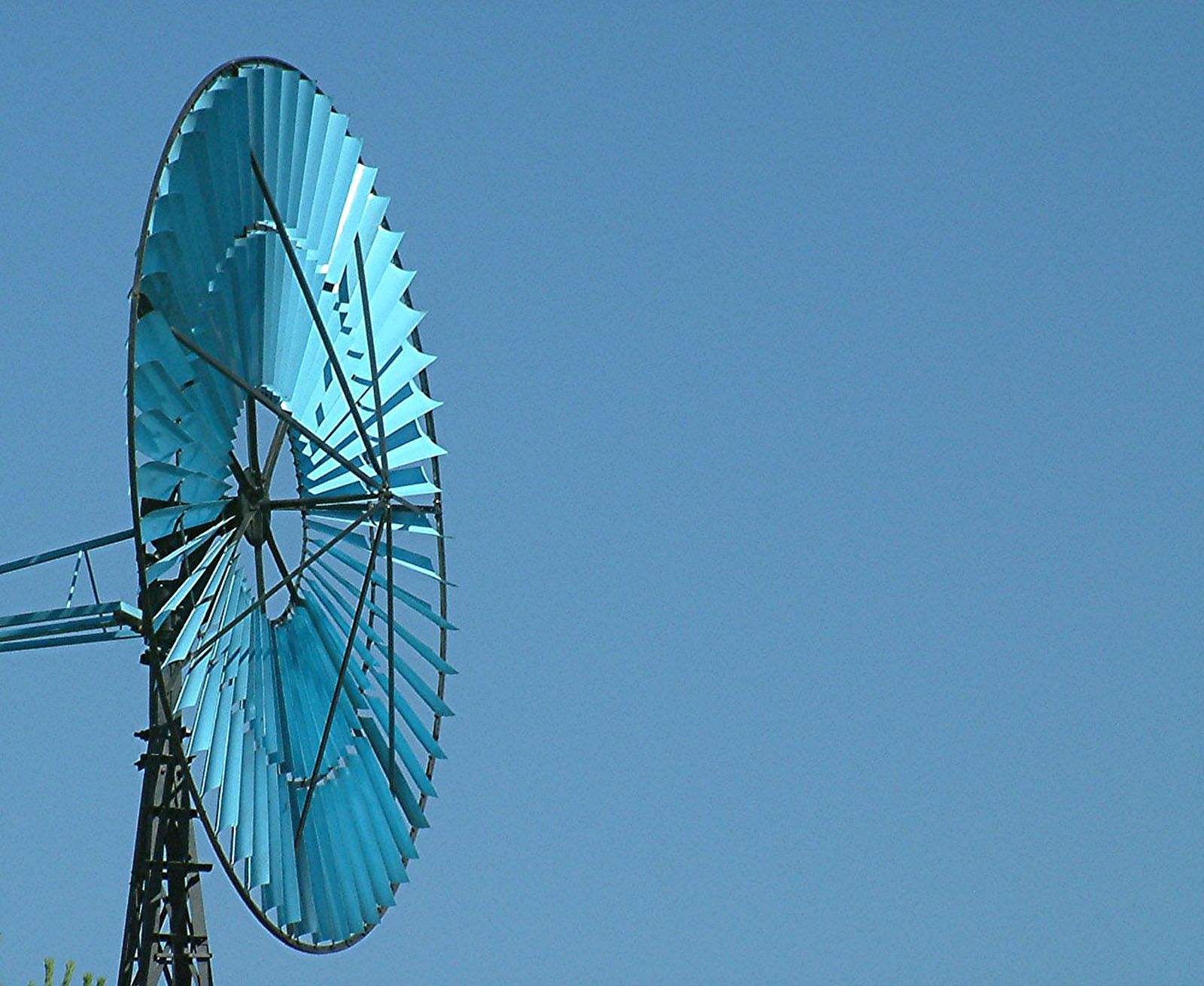 Jaume Castelló Tersa   Blau molí