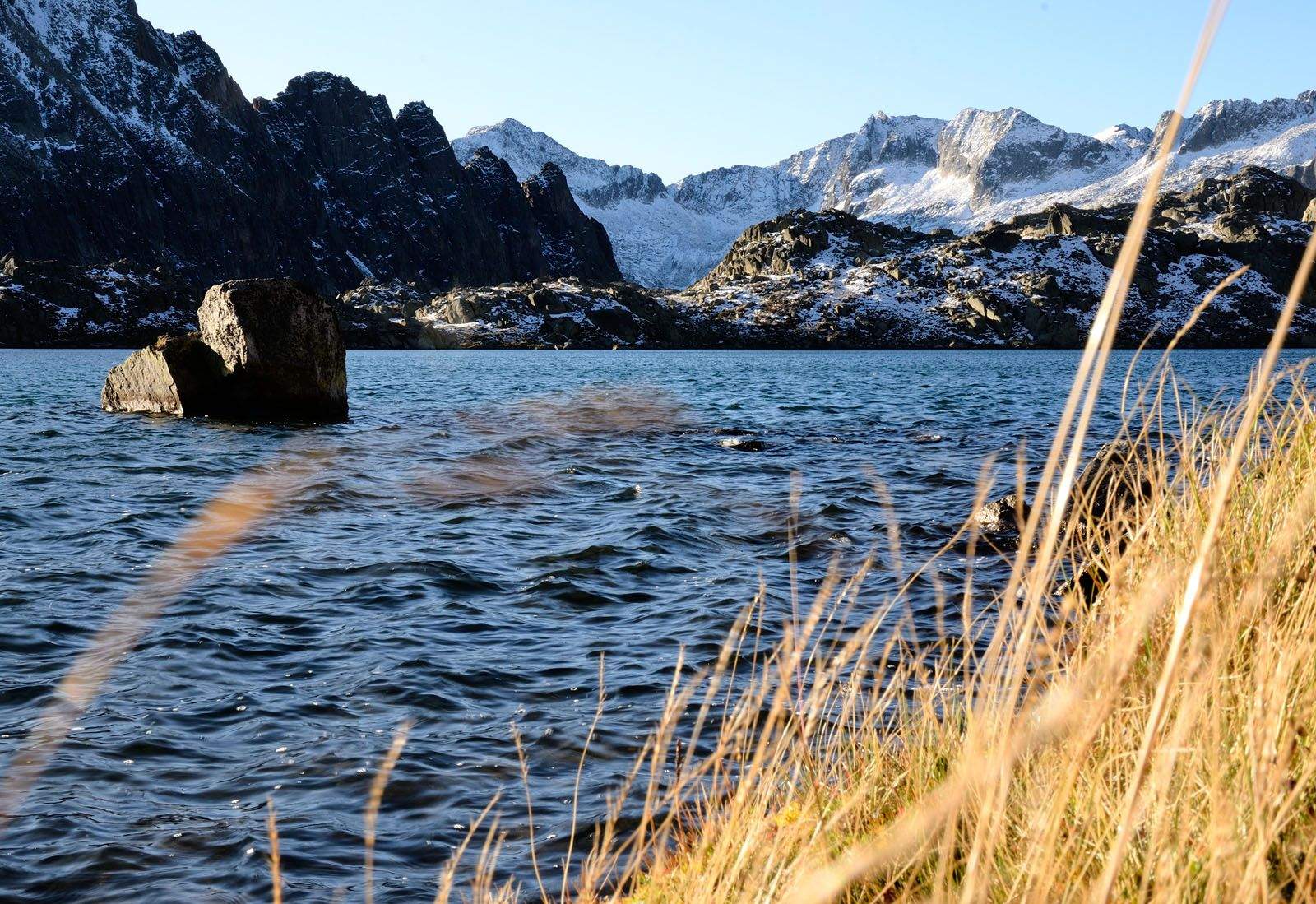 Jordi Riba   Contrastos