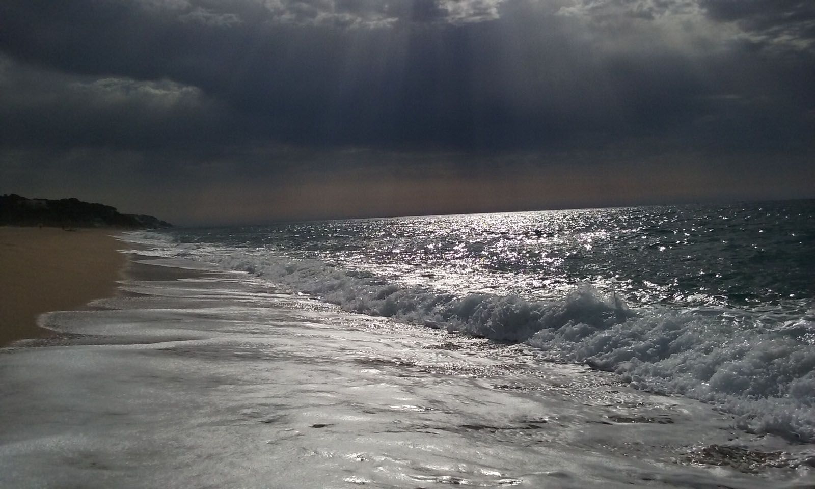 Lali Grimau Estadella   Forces de la natura