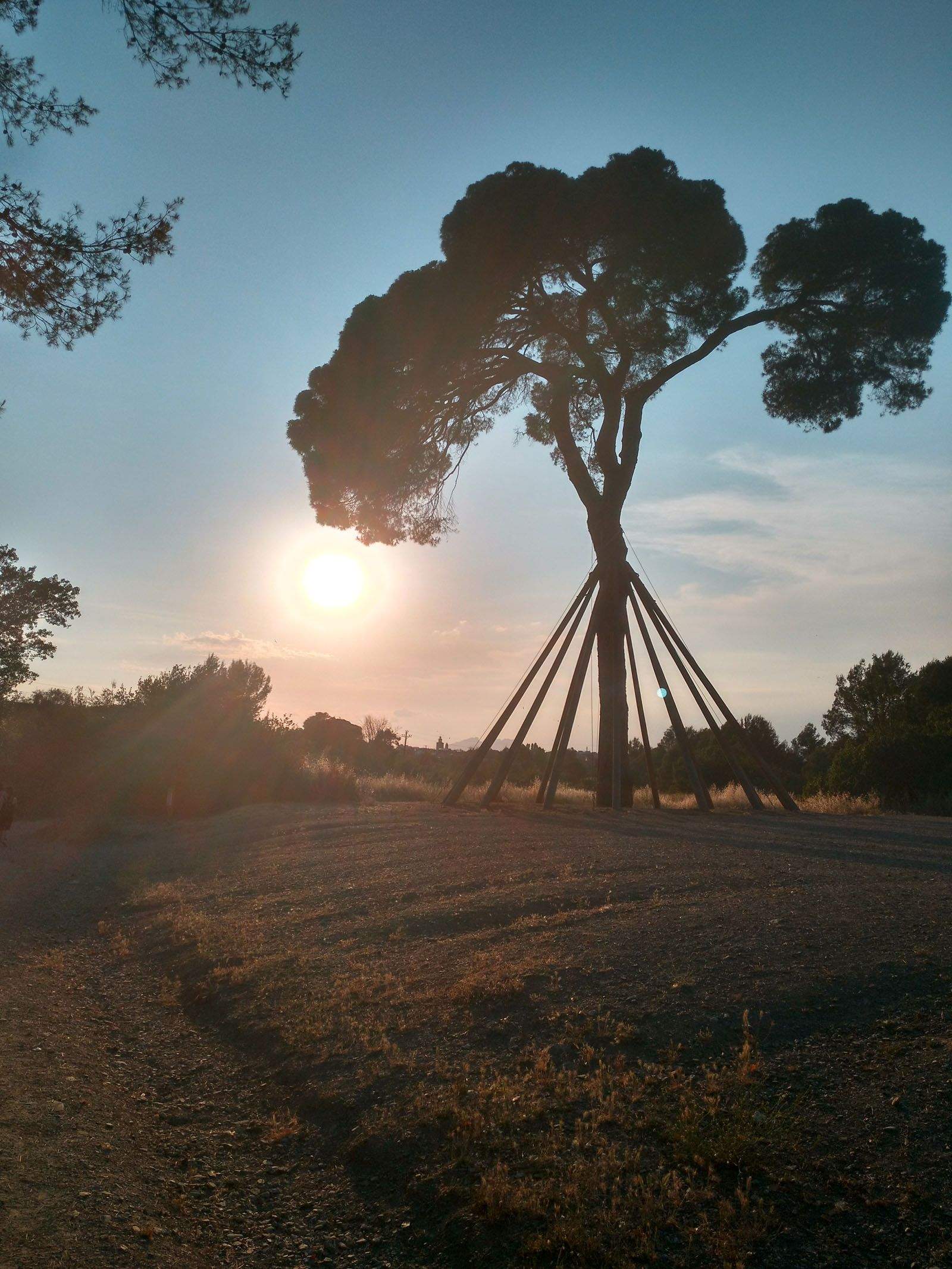Laura Pérez Sánchez   Caminants