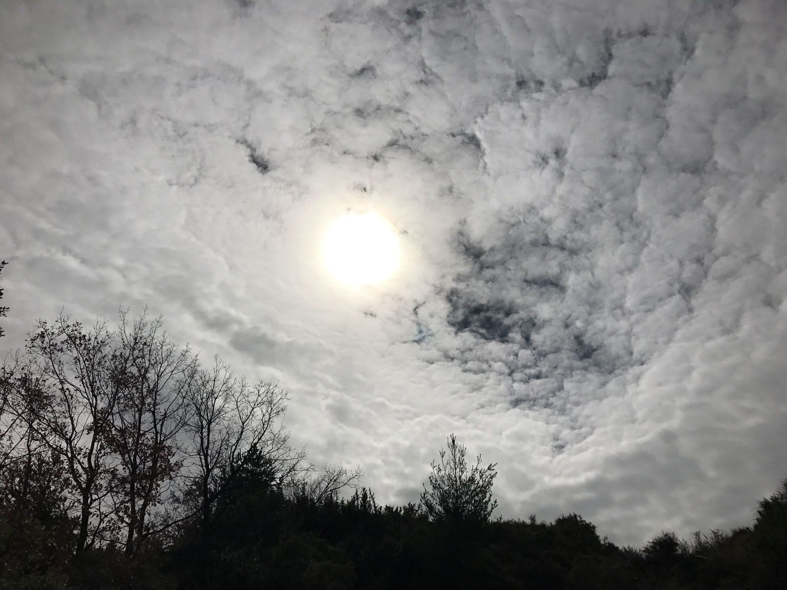 Loli guimenez Piedra   Núvols de cotó