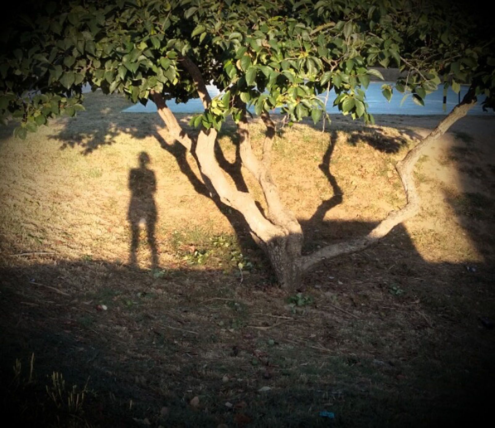 Lou Clover   Asombrada