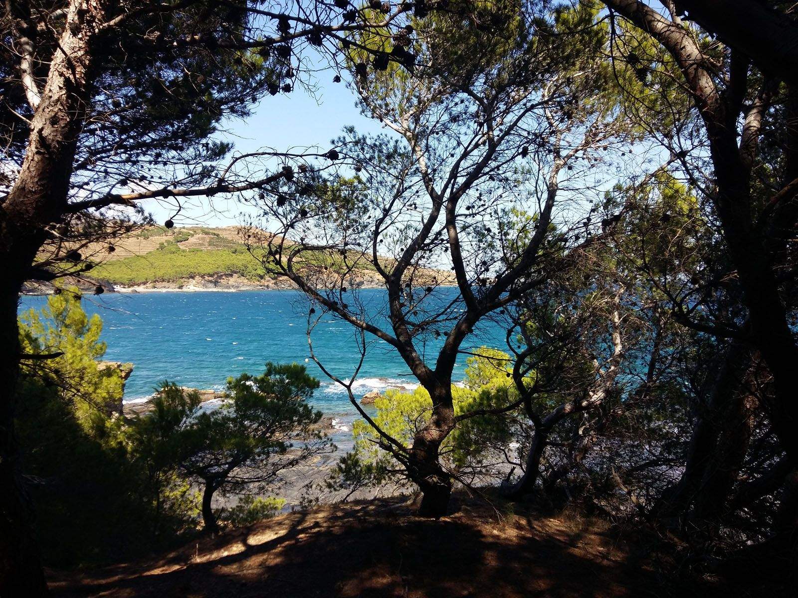 Mª. Josep Serrat Dachs   Un tresor...cal anar més lluny?