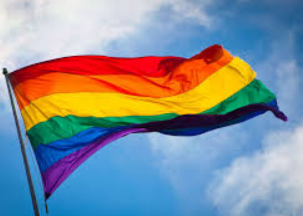 Bandera que identifica el col·lectiu LGTBI FOTO: Cedida 