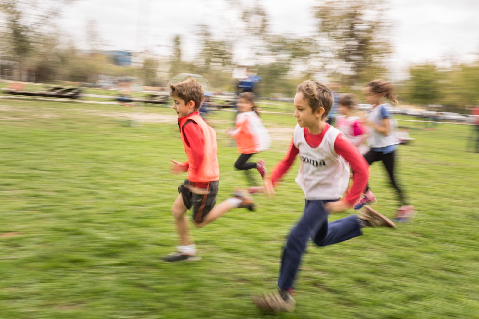 Prepara't pel Cros. Entrenament previ al Cros Ciutat de Sant Cugat. Parc de la Pollancreda FOTO: Oscar Bayona 
