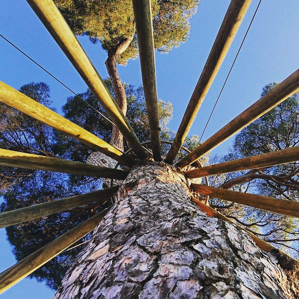 Maria Tomàs Fleck   Respira