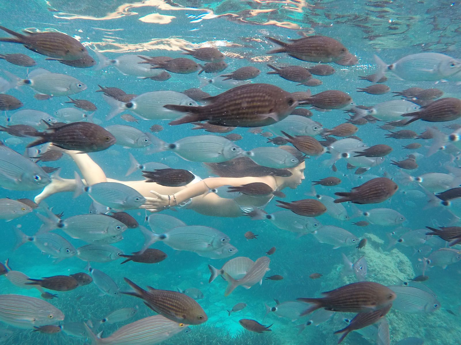 Marina Rius Oliva   Com peix a l'aigua