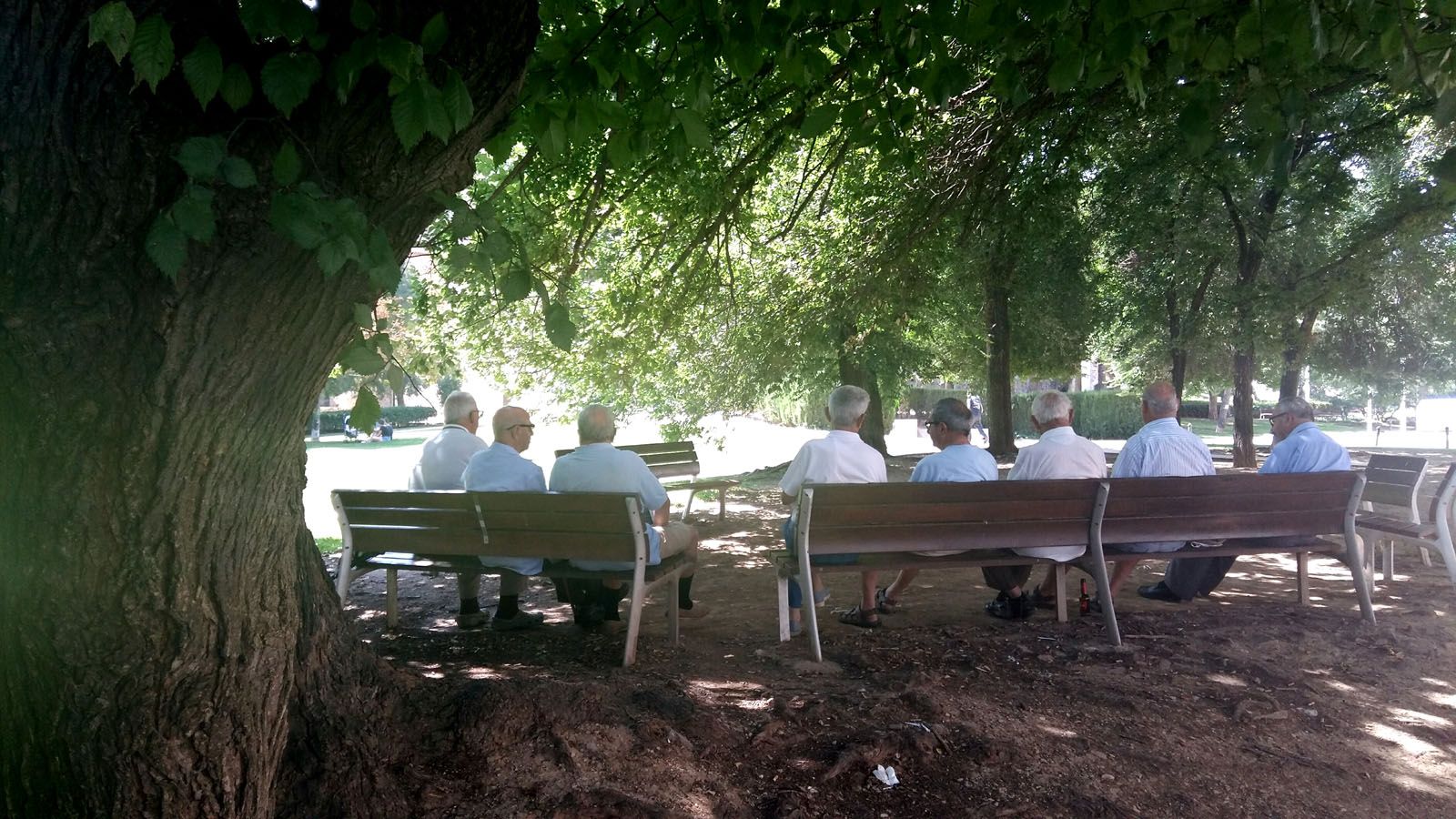 Mariona Buges Dachs   Punt fresc a StCugat 