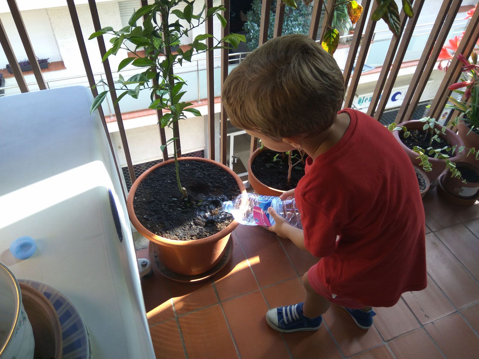 Mari Carmen Lopez Rodriguez   Essers vius