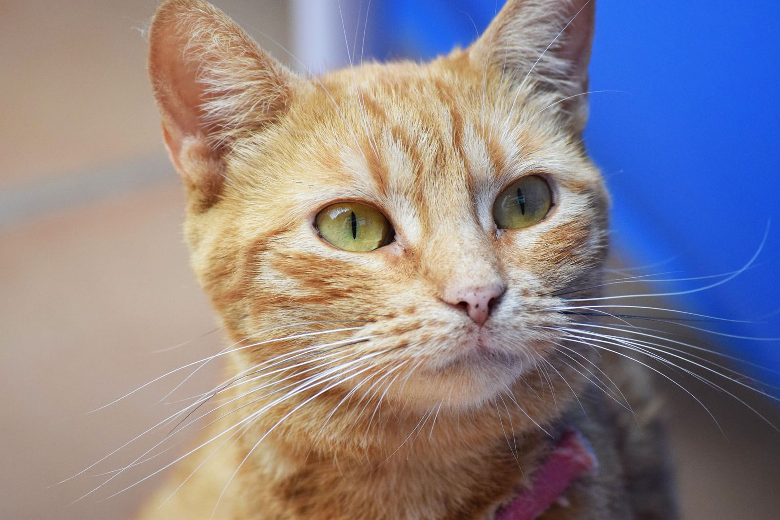 Maria Olga Franco Valls   Todos los detalles