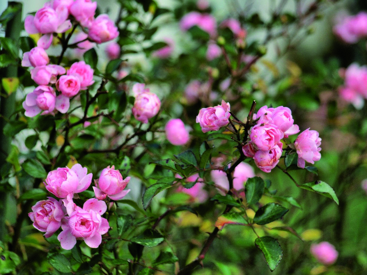 Eviteu que estigui exposat a temperatures superiors a 21º C
