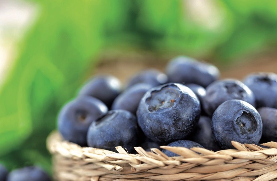 Presenteu la crema en copes individuals FOTO: Cedida