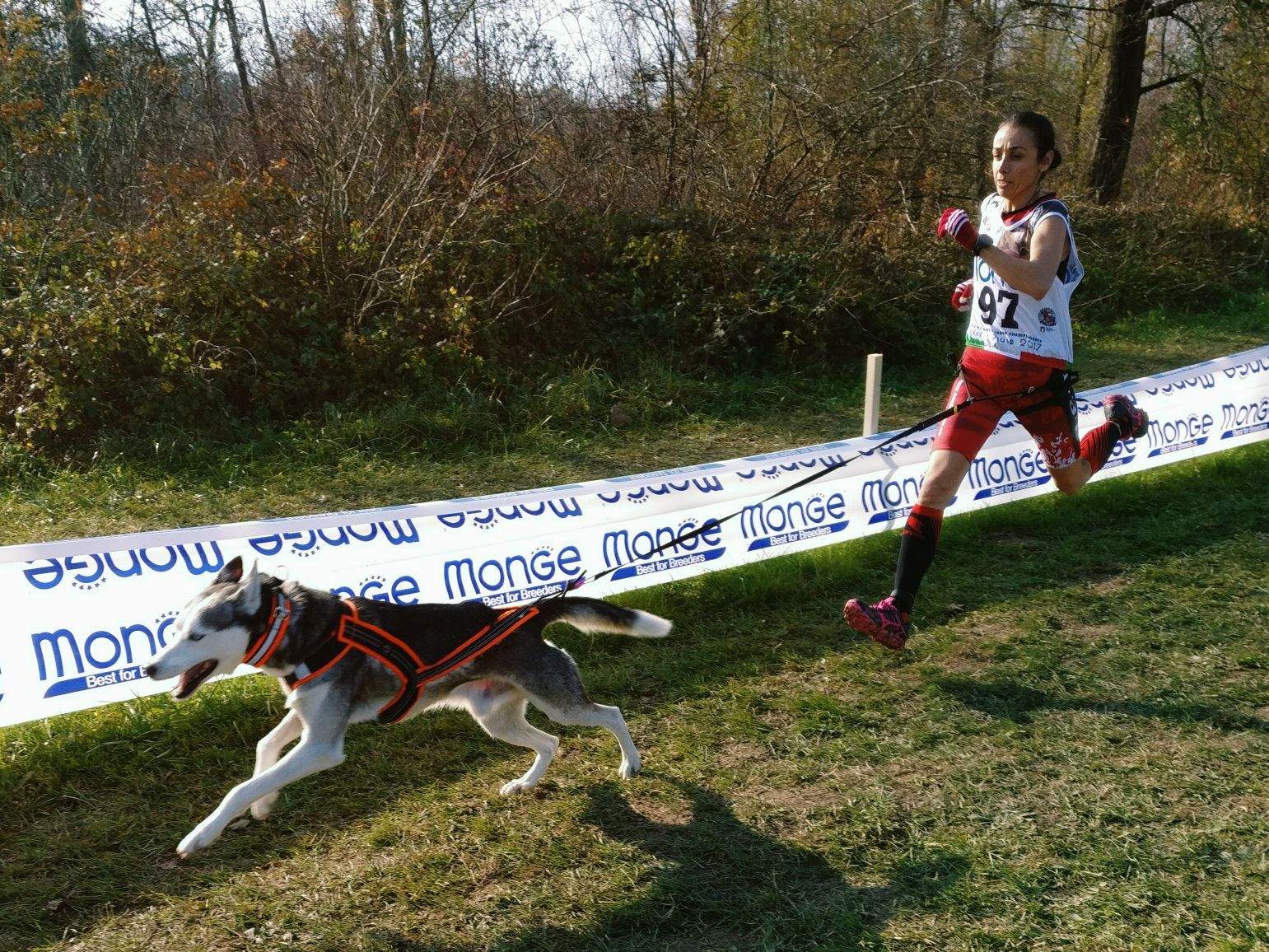 Olga Álvarez ha guanyat la primera edició del Campionat del Món de Gossos Nòrdics de Terra. FOTO: Cedida