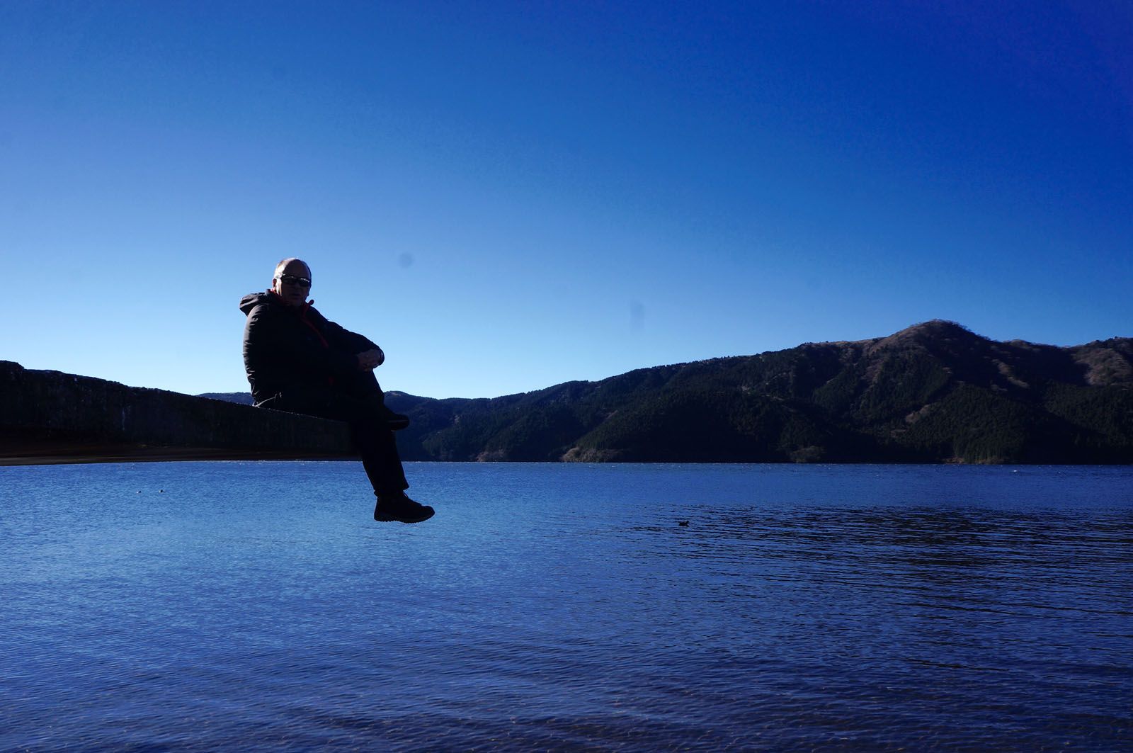 Alastrue vidal alastrue vidal   SURANT