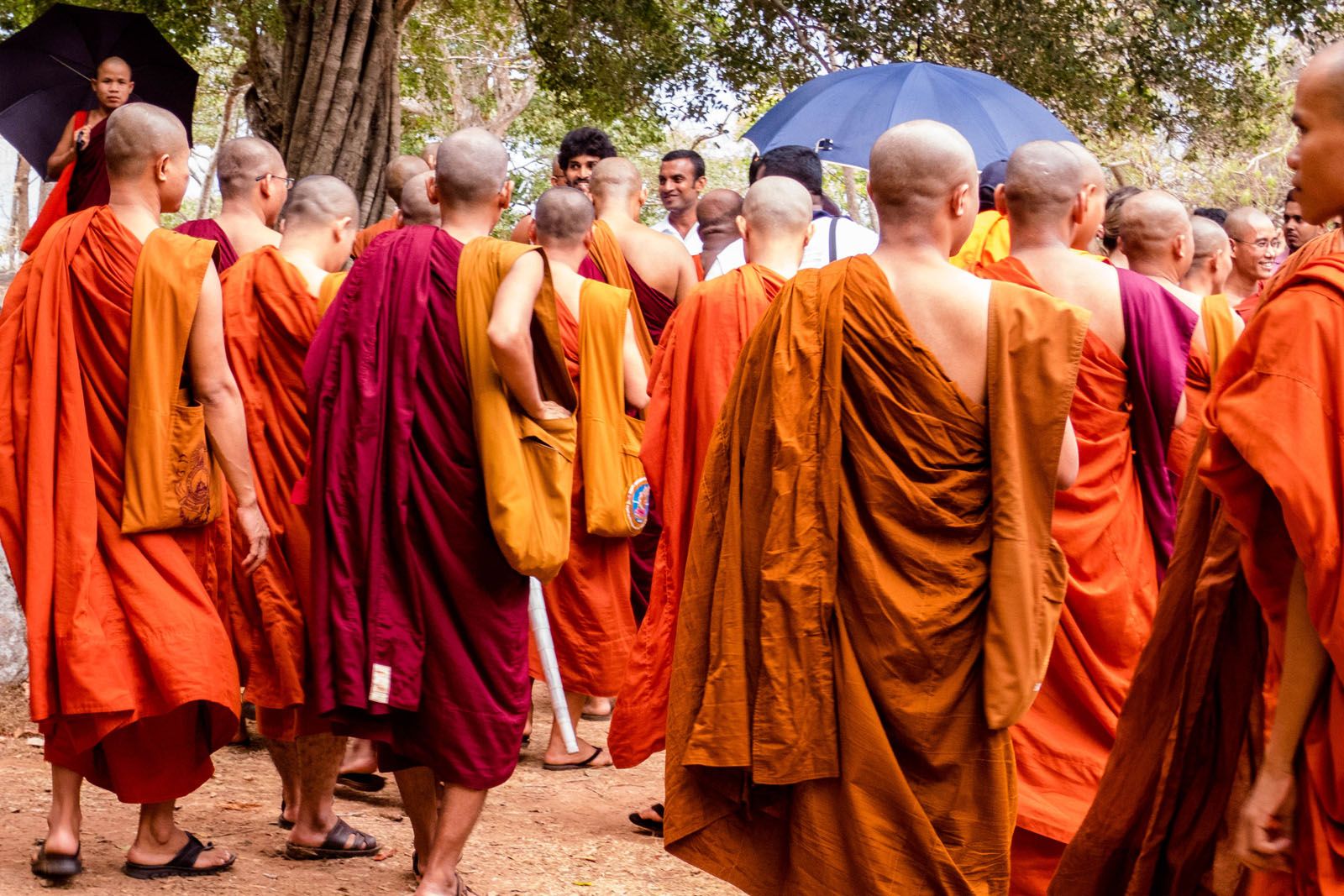 Alba Duque Cuesta   Taronja