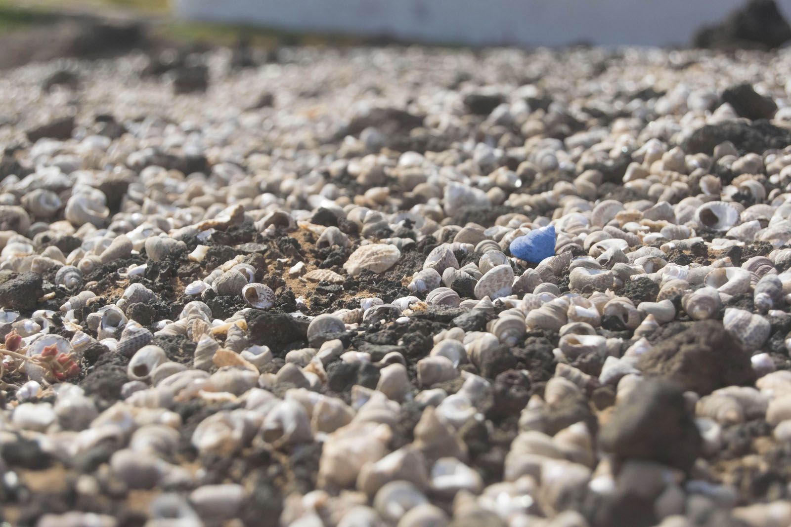 Alex Guillén Sala   Be different