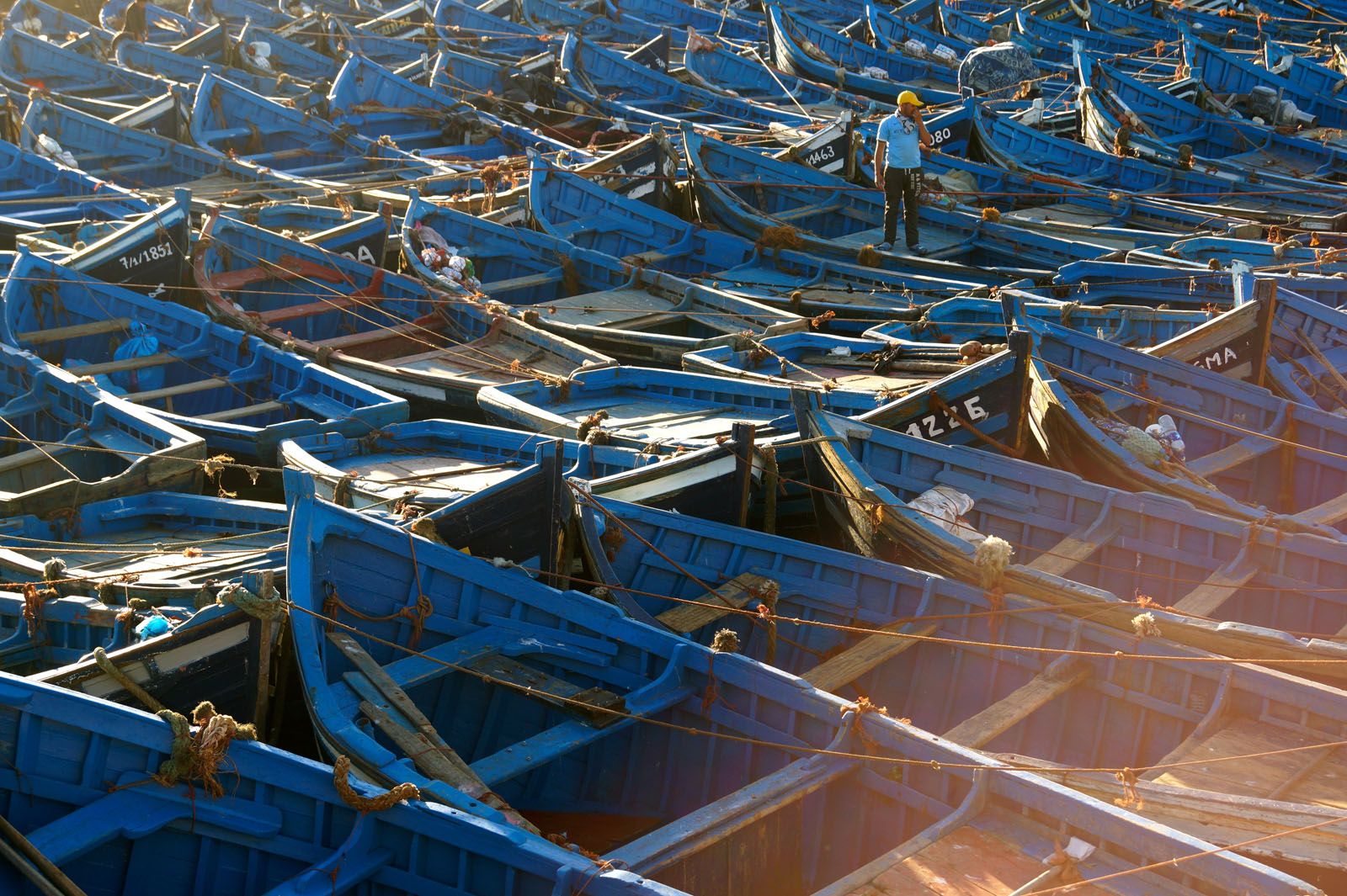 Ana Cristina Cabrera Kábana Schultz   Peix a la brasa