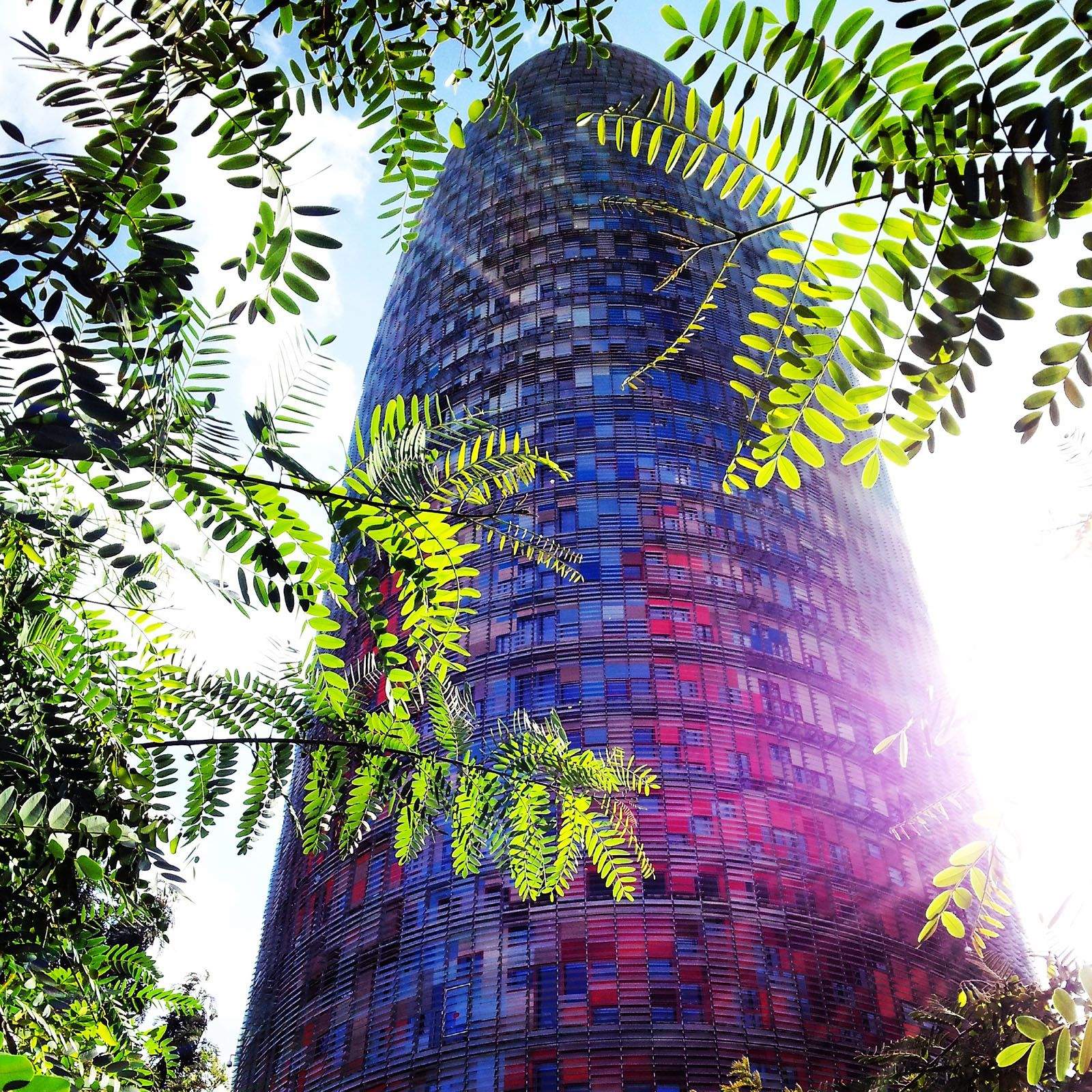 Ana Remolina Torres   Apuntando al cielo