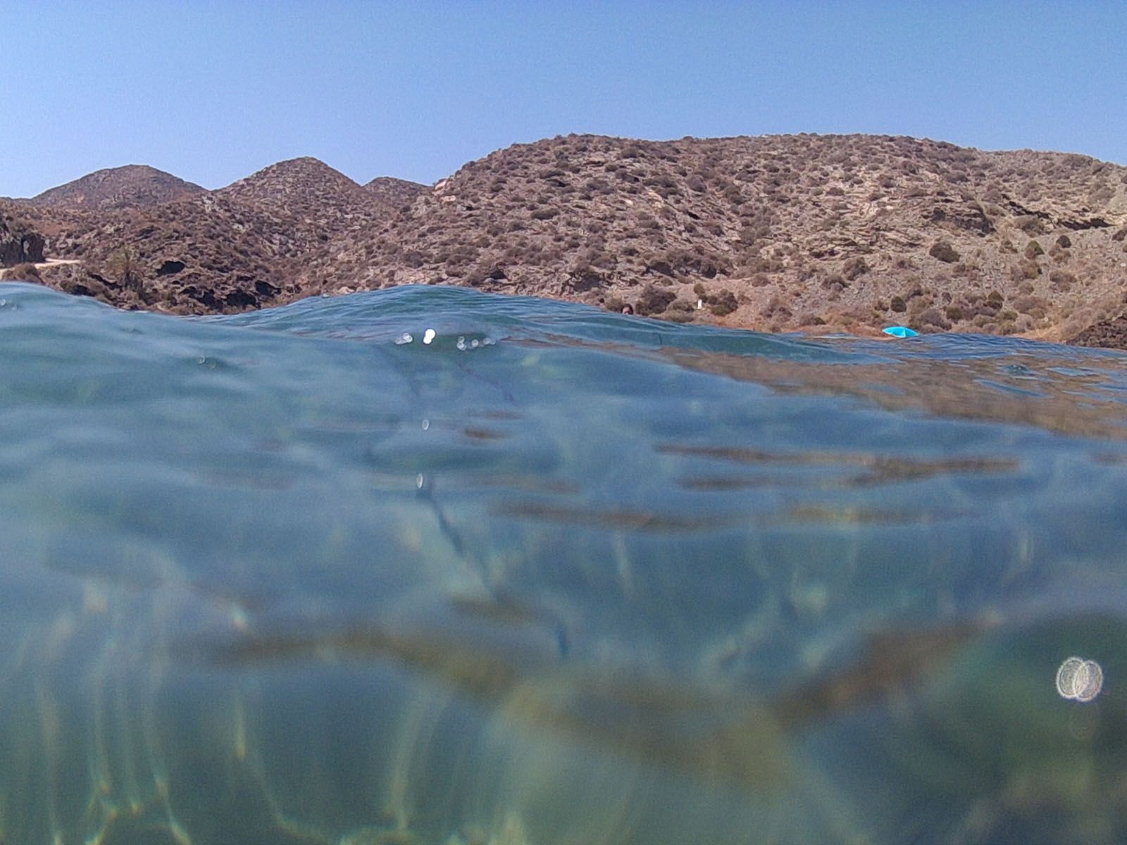 Angel Piñero   Desert amb vida 