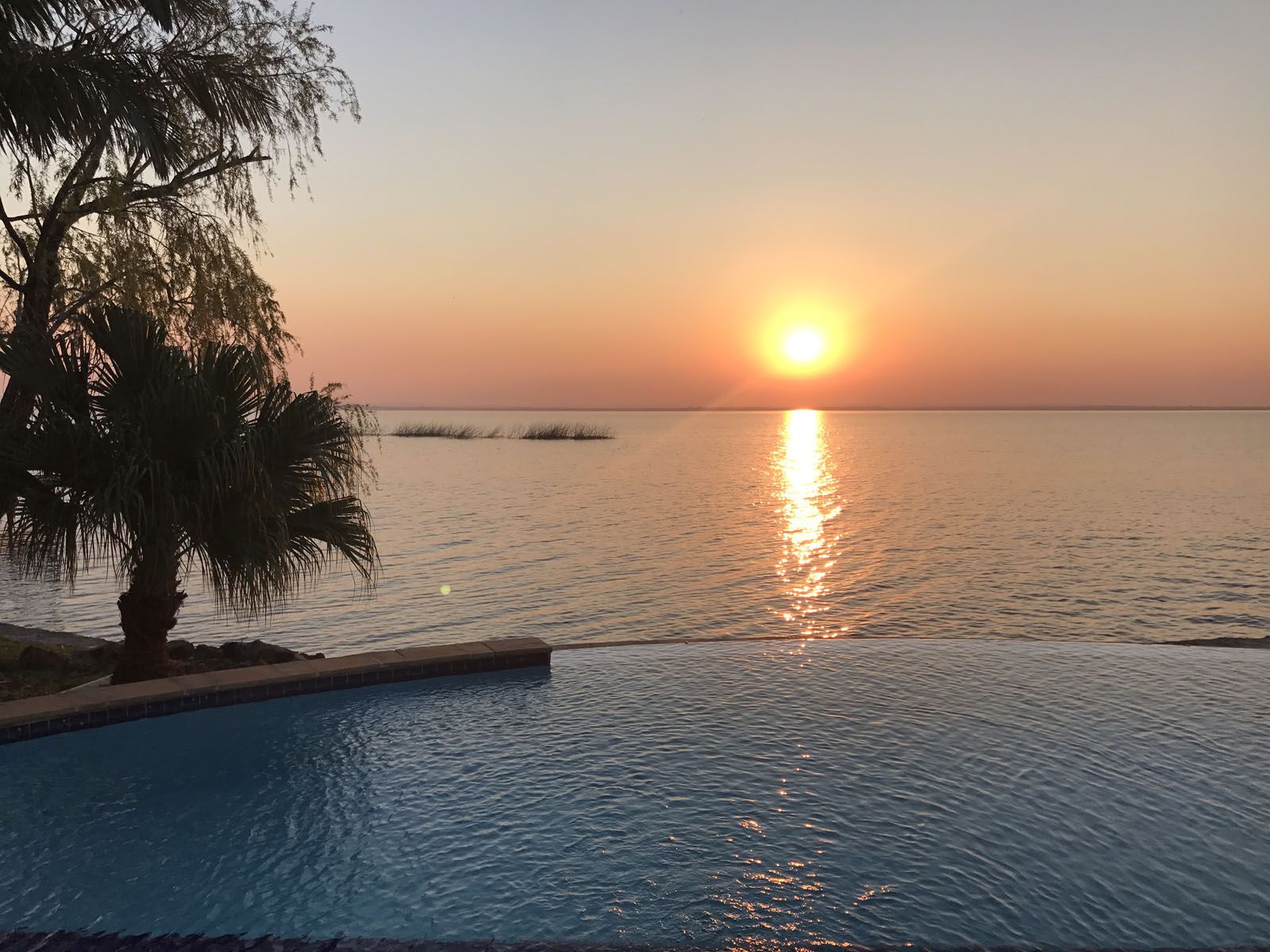 Anna de la Fuente Pietryga   San Bernardino