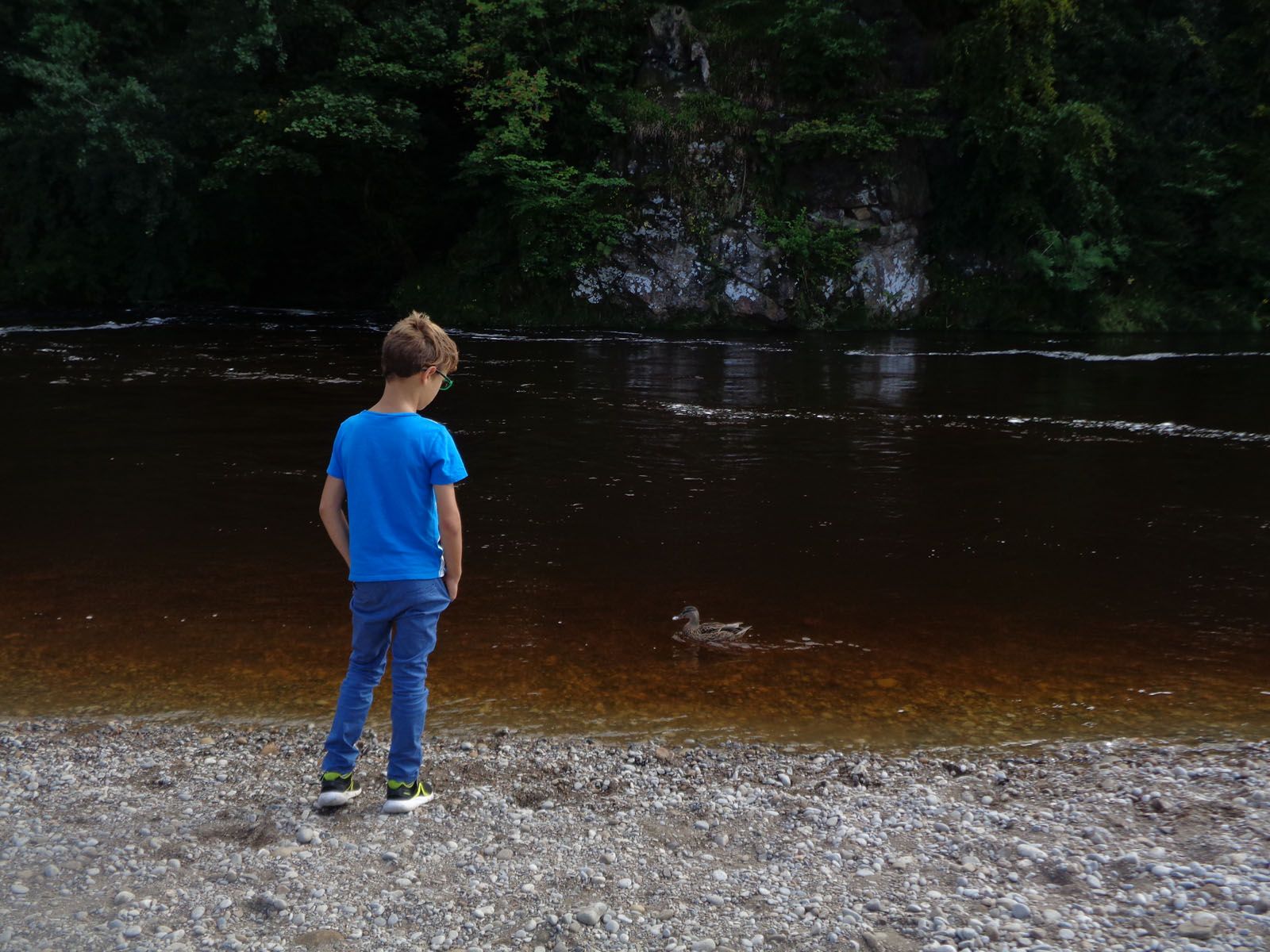 Araceli Serrano Ardanuy   Per què el riu és fosc?