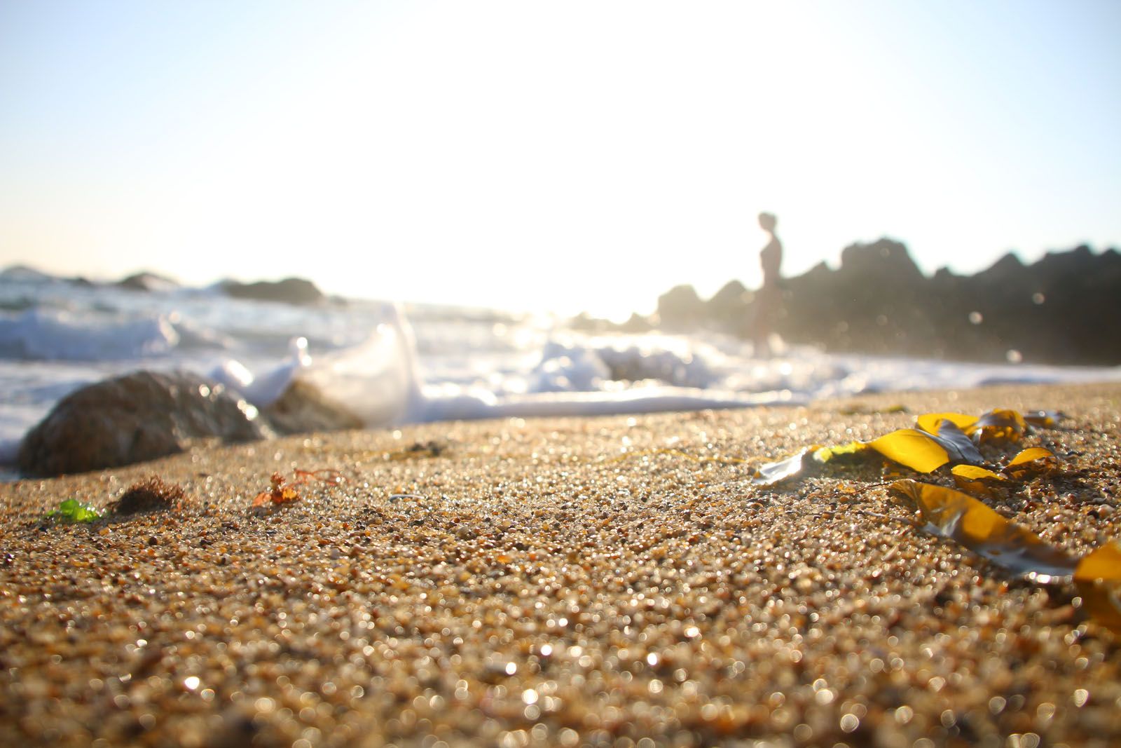 Arnau Romaní Capdevila   L'últim bany del dia