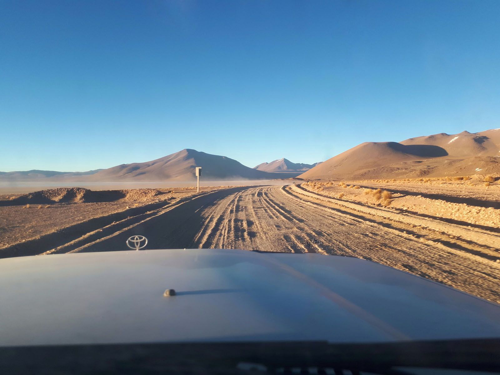 Blanca Fernández de Castro Serra   La essència de la terra