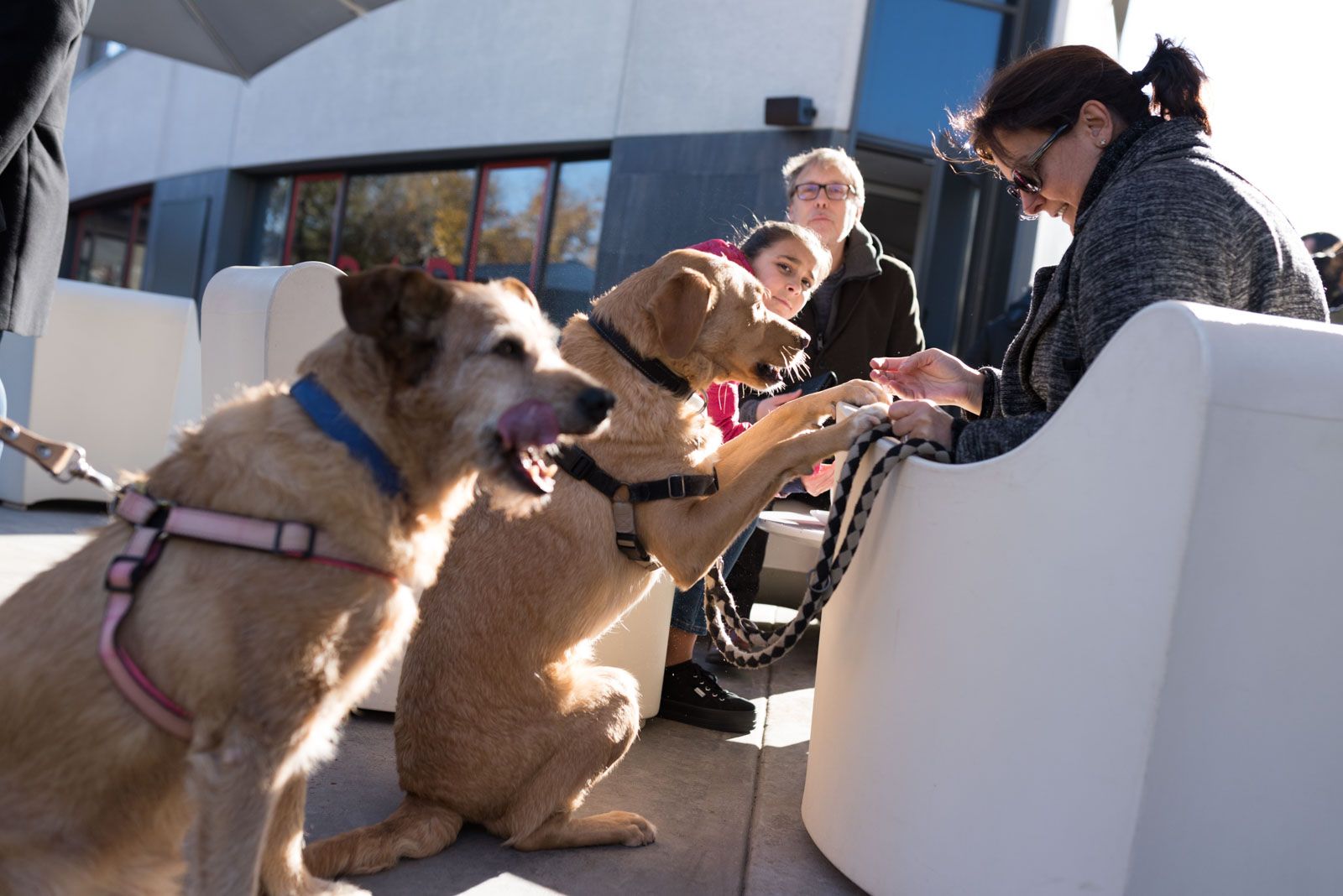 Esdeveniment solidari al Jardi de L'Hotel Sant Cugat. Foto: Oscar Bayona 