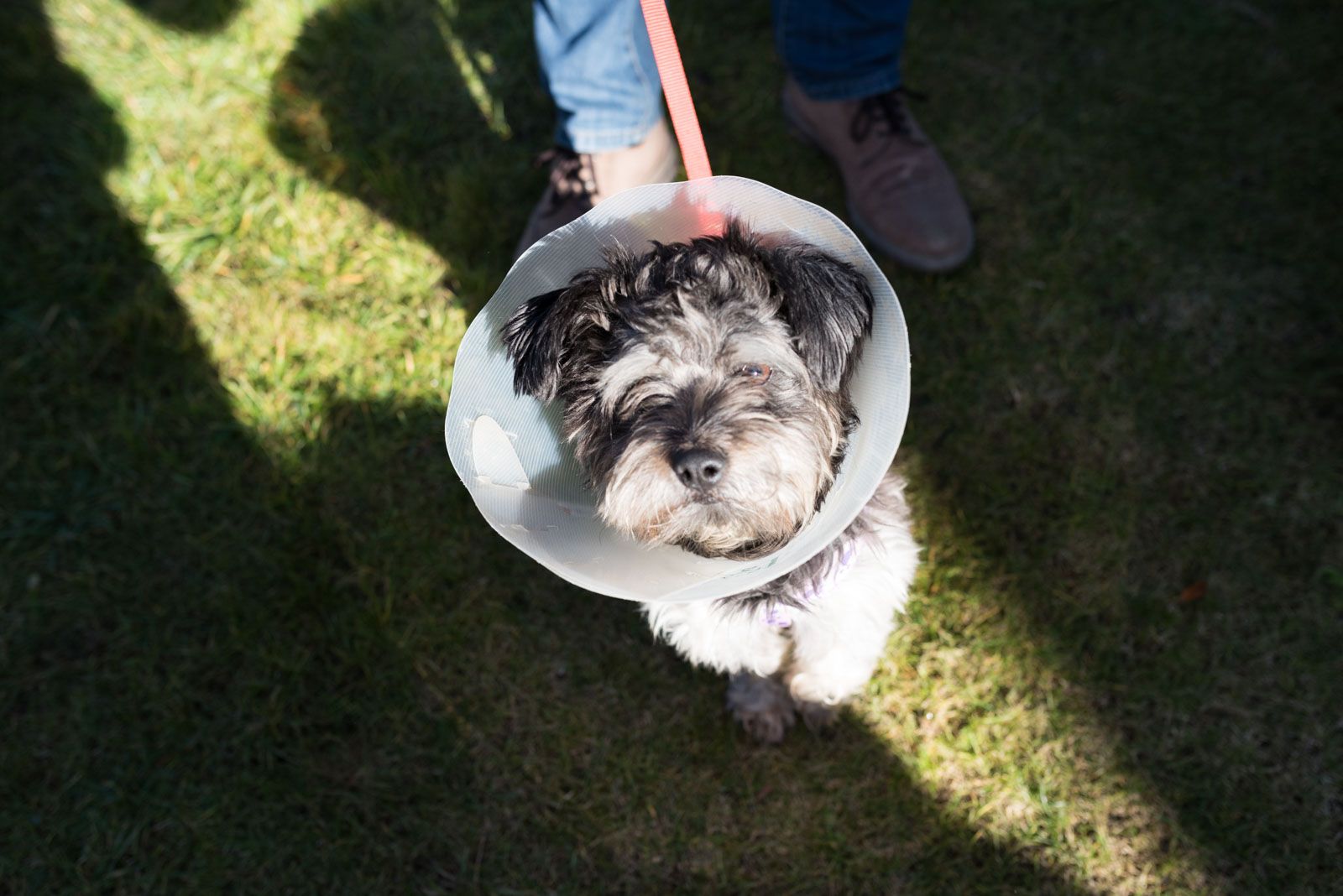 Esdeveniment solidari al Jardi de L'Hotel Sant Cugat. Foto: Oscar Bayona 
