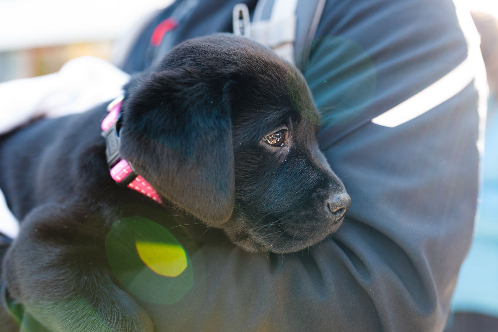 Esdeveniment solidari al Jardi de L'Hotel Sant Cugat. Foto: Oscar Bayona 
